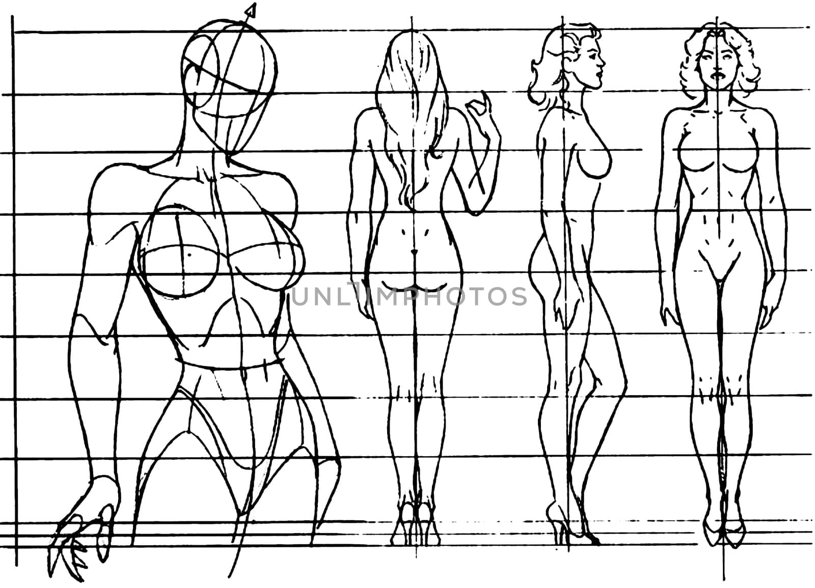Tutorial of drawing a female body. Drawing the human body, step by step lessons.