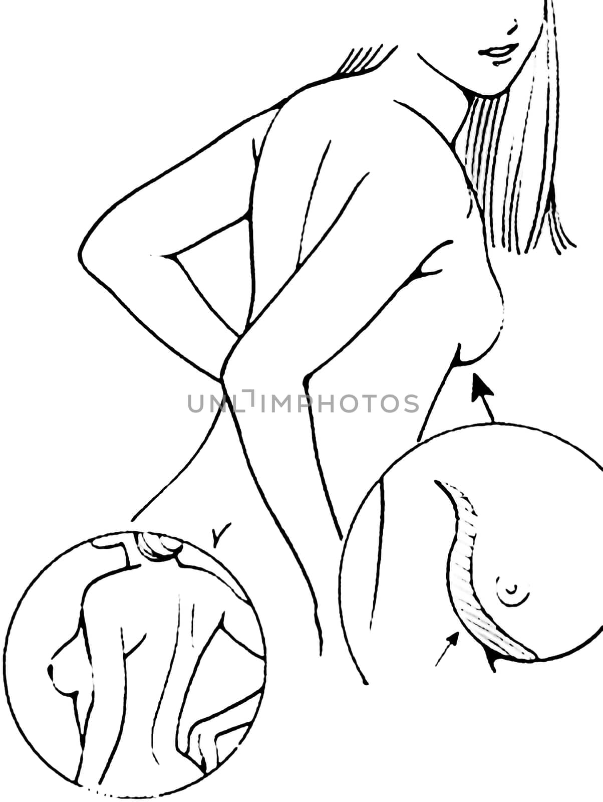 Tutorial of drawing a female body. Drawing the human body, step by step lessons. Female breast drawing tutorial. Drawing a woman's body with an emphasis on breasts.