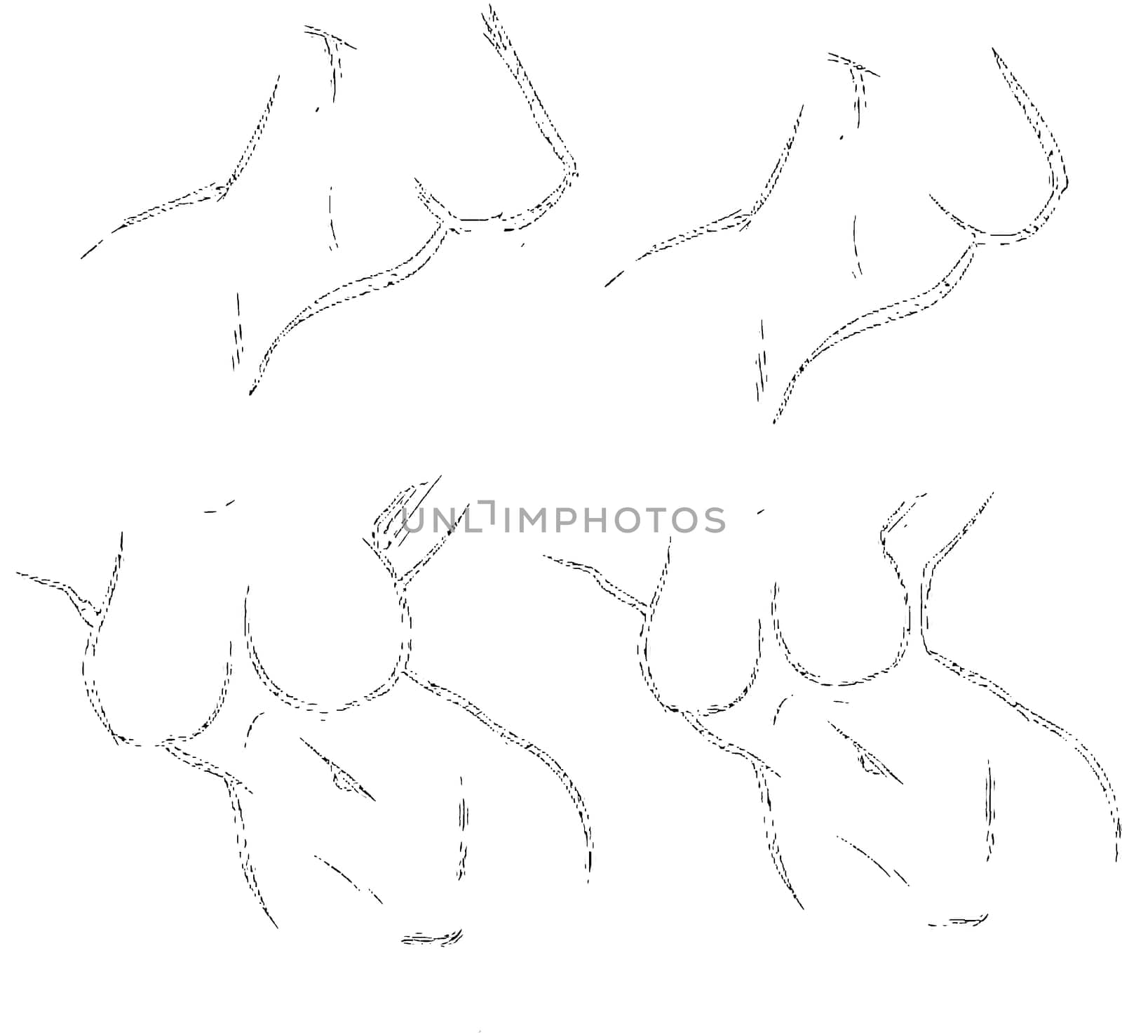 Tutorial of drawing a female body. Drawing the human body, step by step lessons. Female breast drawing tutorial. Drawing a woman's body with an emphasis on breasts.