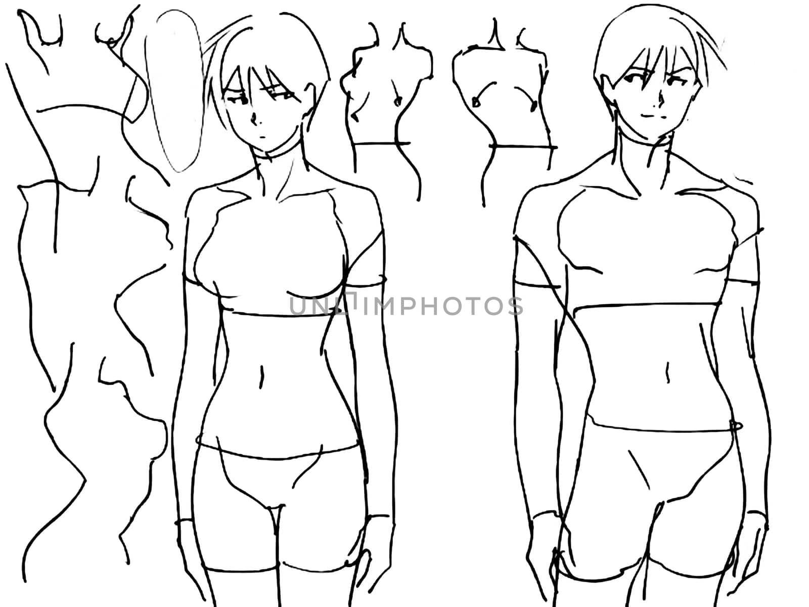Tutorial of drawing a female body. Drawing the human body, step by step lessons.