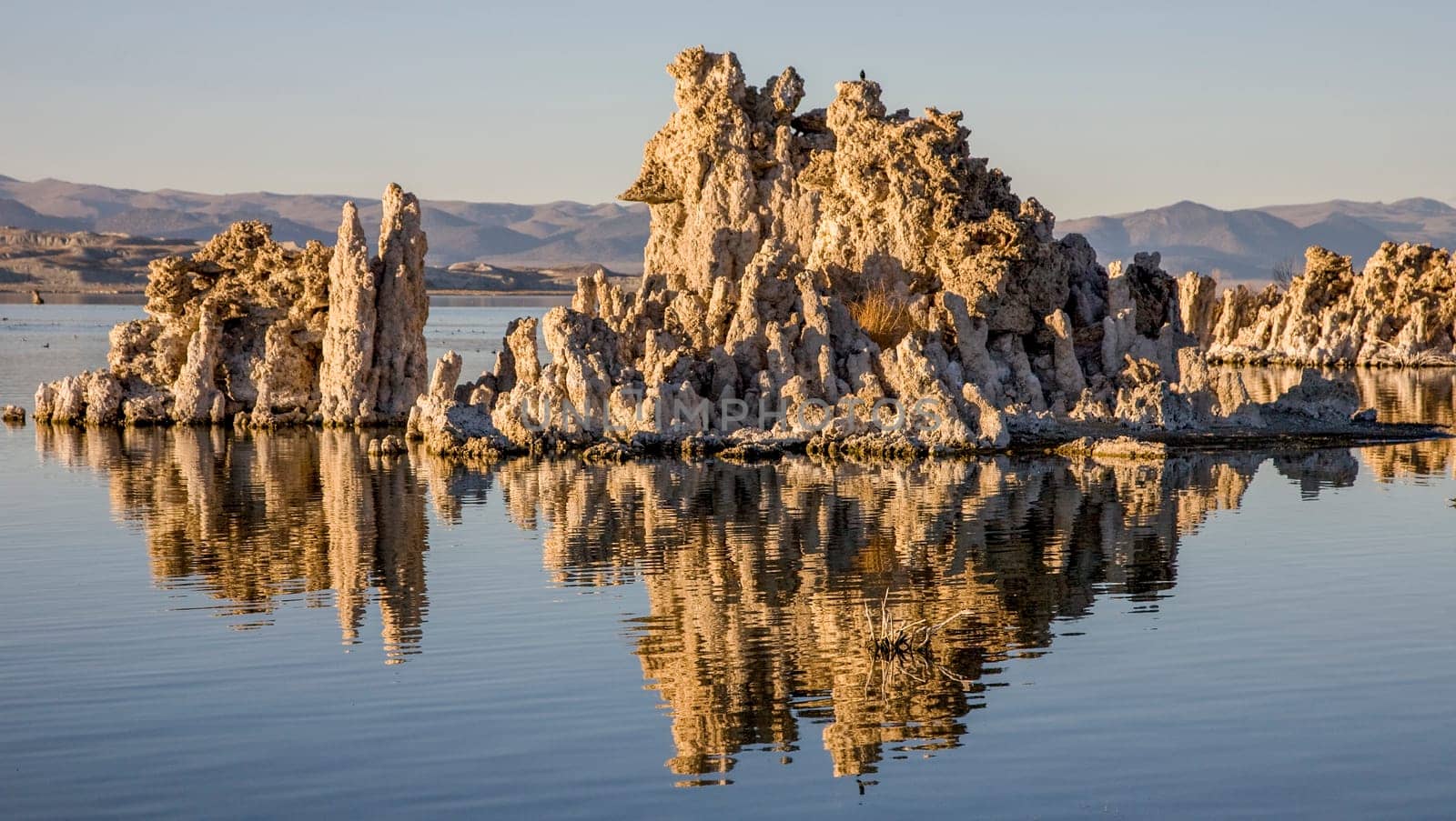 Tufa at Mono Lake, California reflected in lake