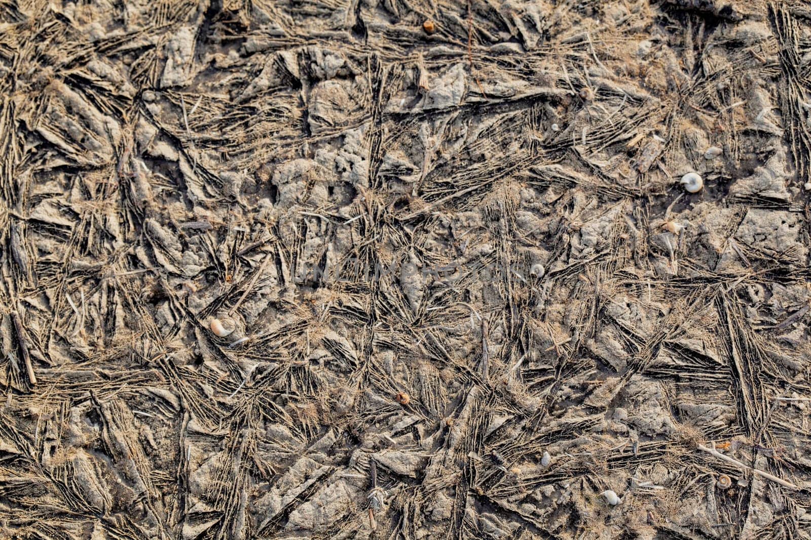 Background texture of plants frozen in ice turned brown
