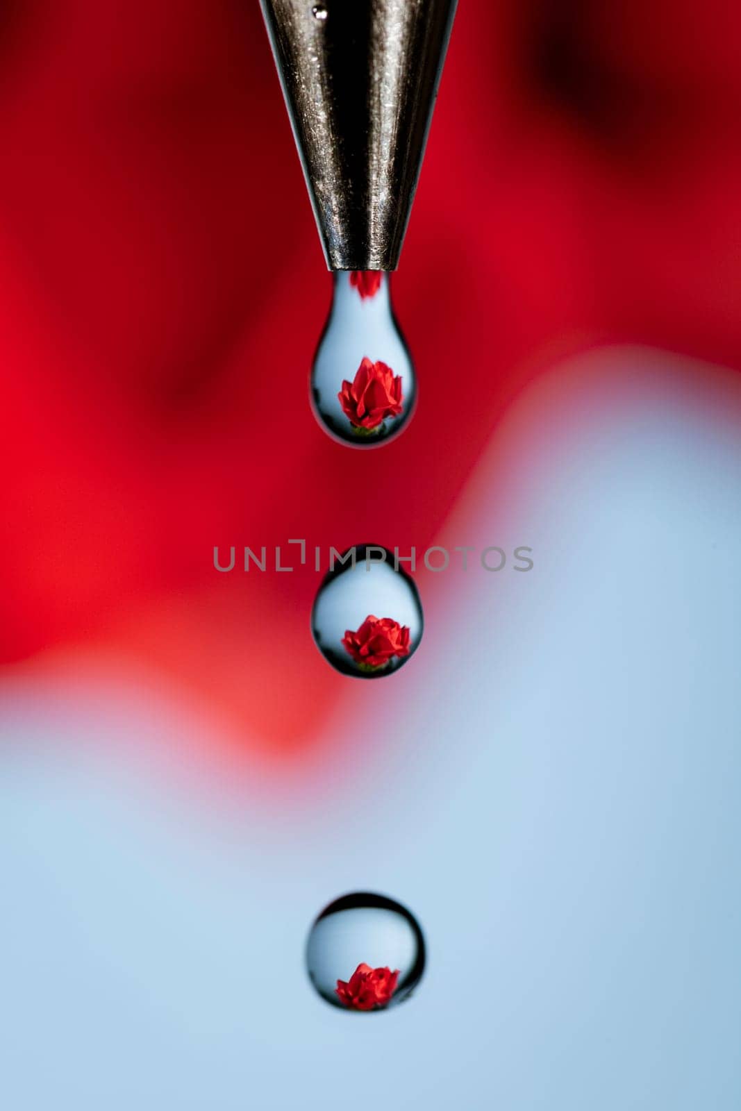A red rose refracted through drops of water coming from a faucet