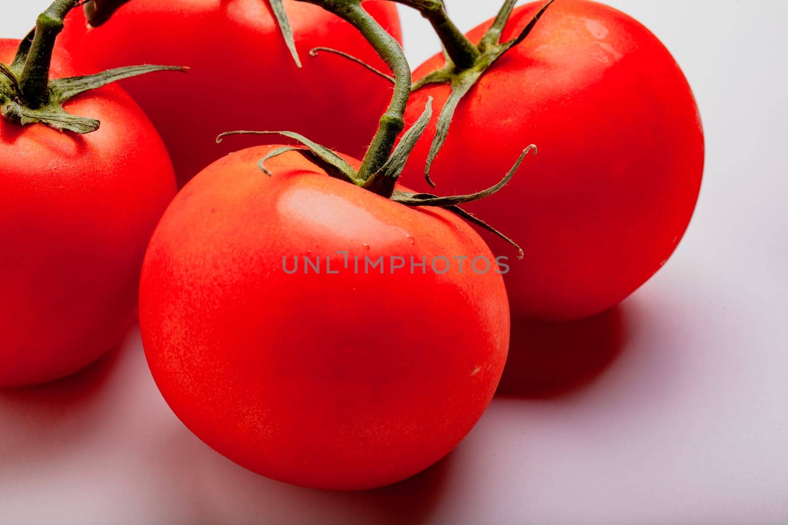 Wet Juicy Tomatoes on the Vine