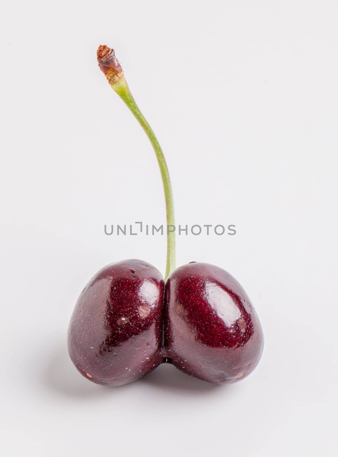 Double Cherry Stem on white background