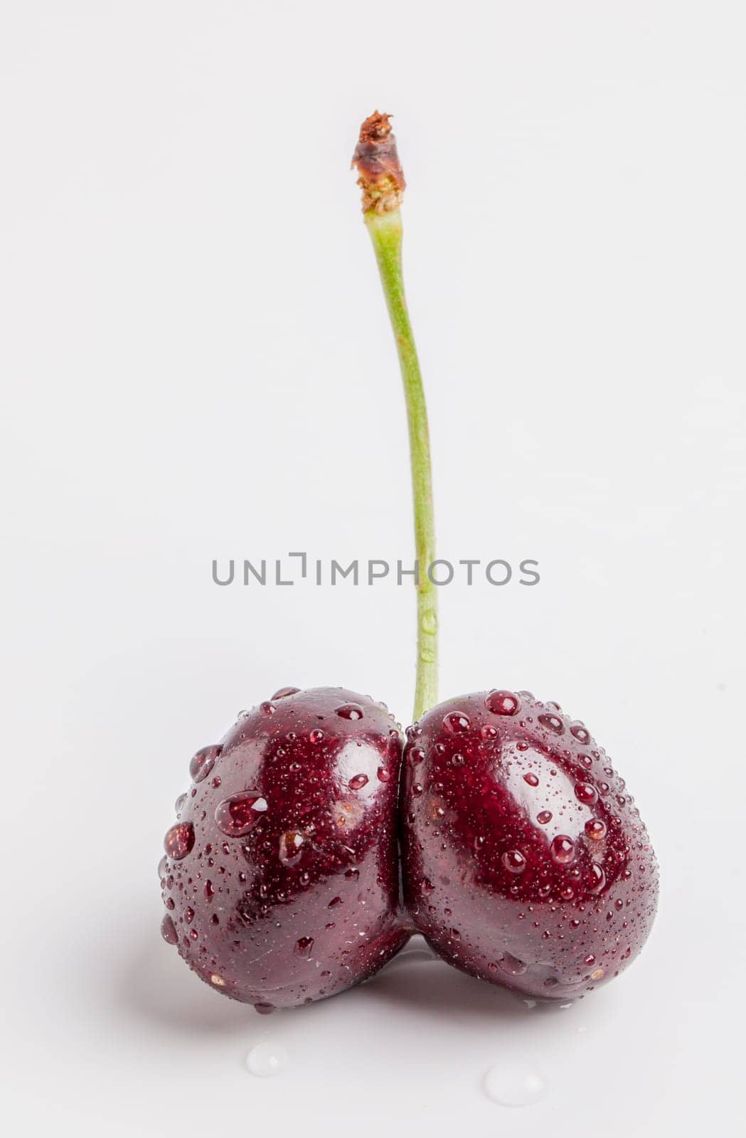 Wet Double Cherry Stem on white background