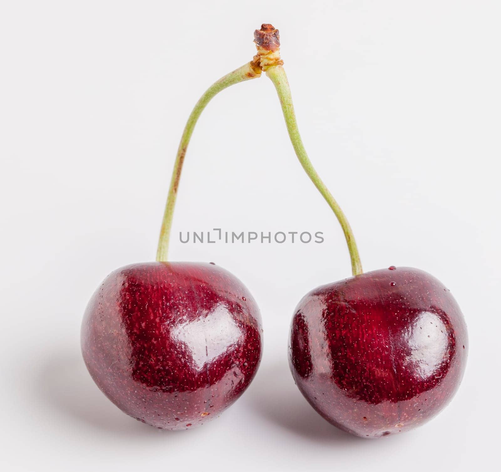 Double Cherry Stem on white background
