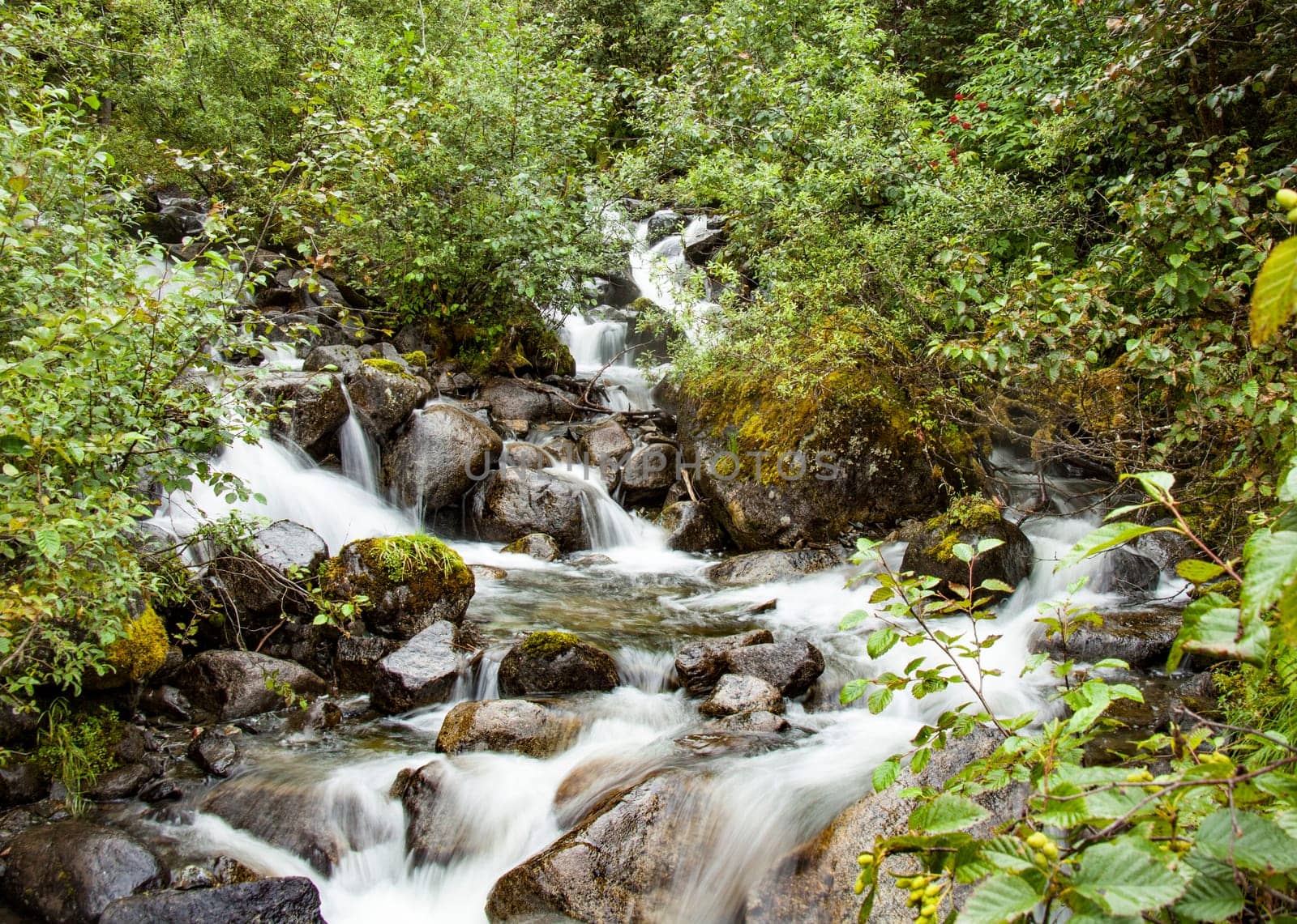 Stream with Falls Enroute to Mendenhall Glacier. Sream is fed from melting glacier.