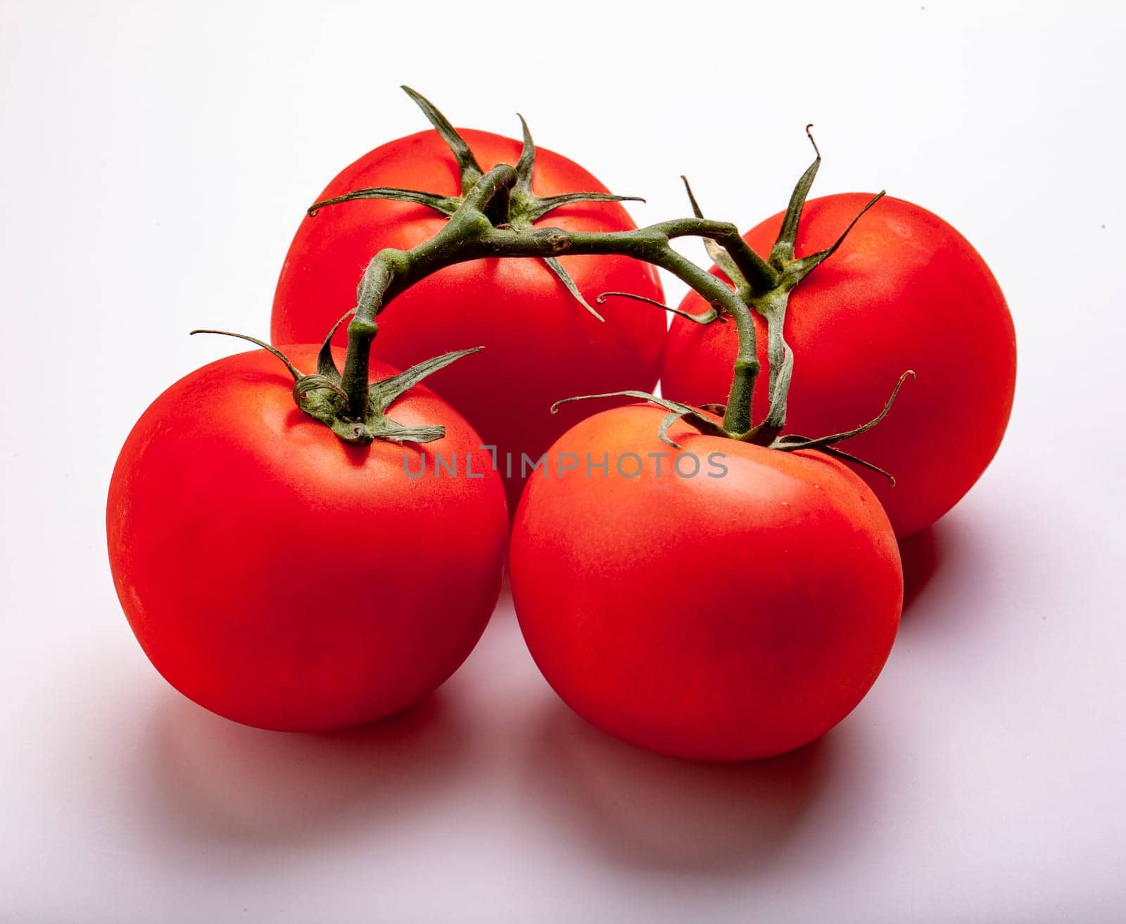 Wet Juicy Tomatoes on the Vine