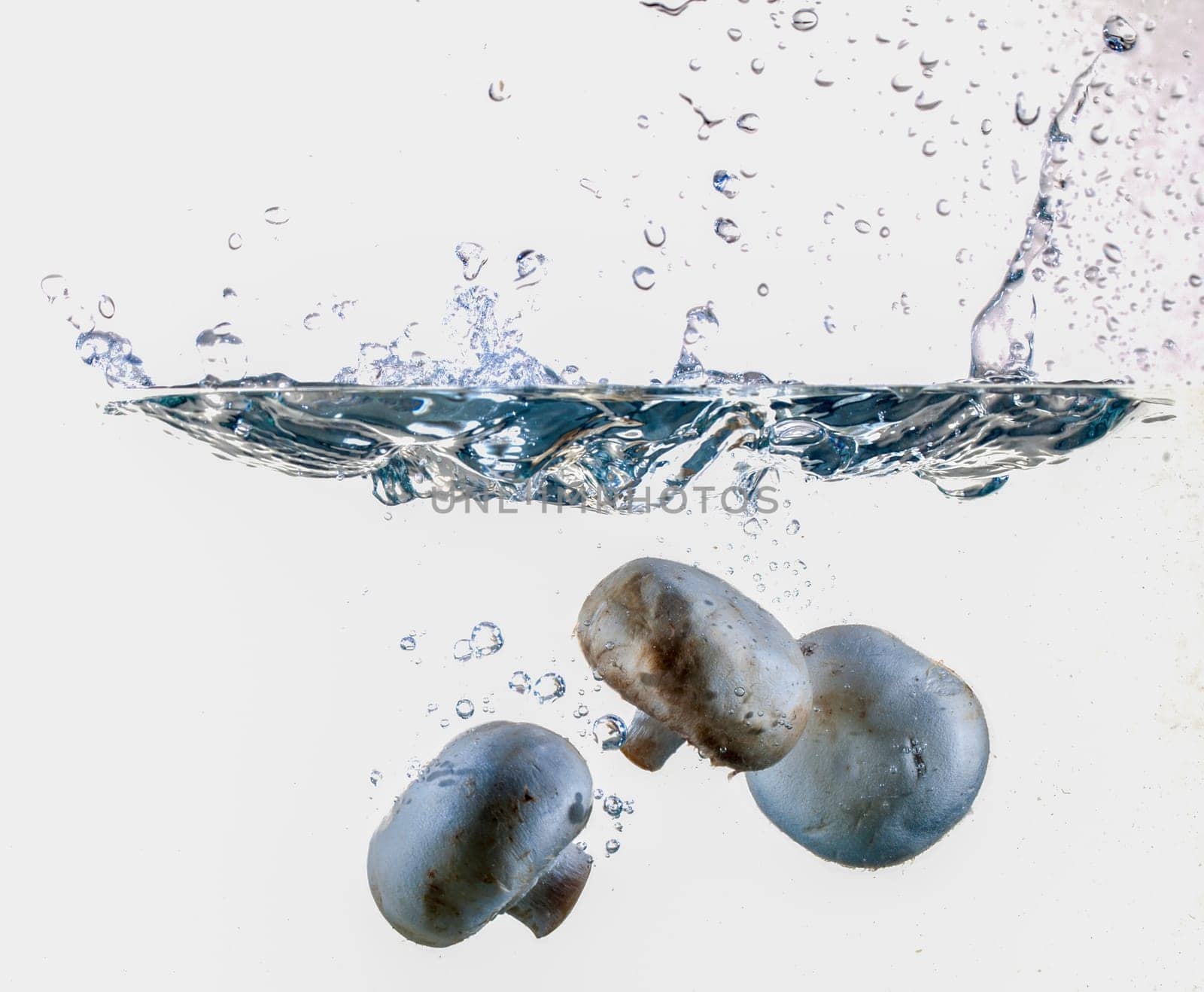 White Mushrooms Dropping Into Water