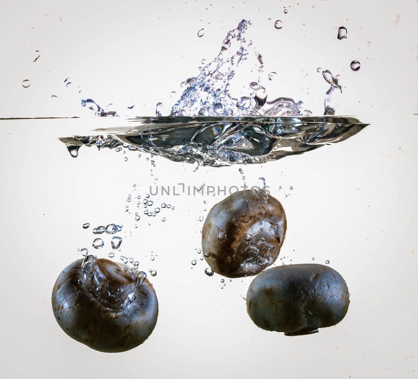 White Mushrooms Dropping Into Water