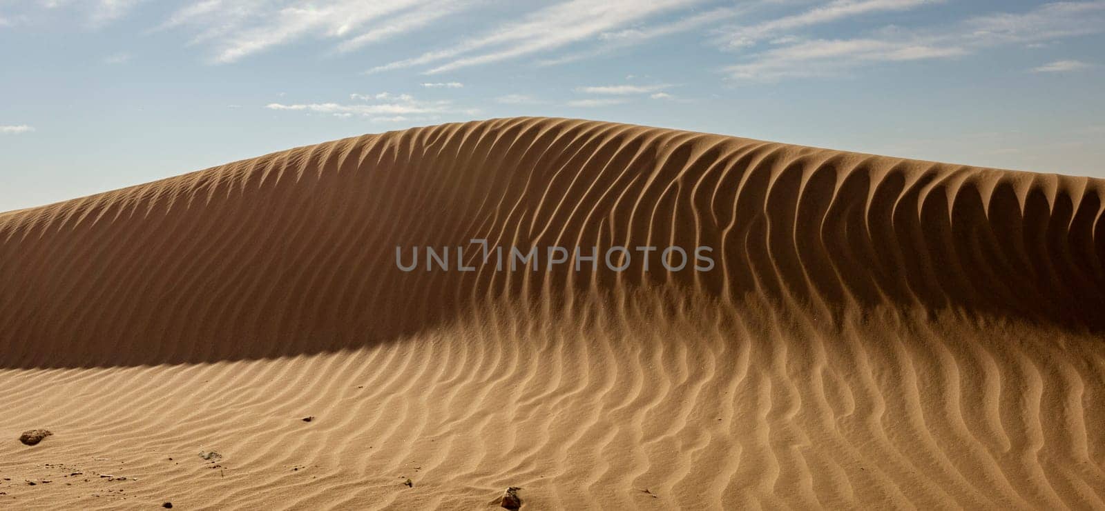 Sand dune with rippled pattern in Namibia
