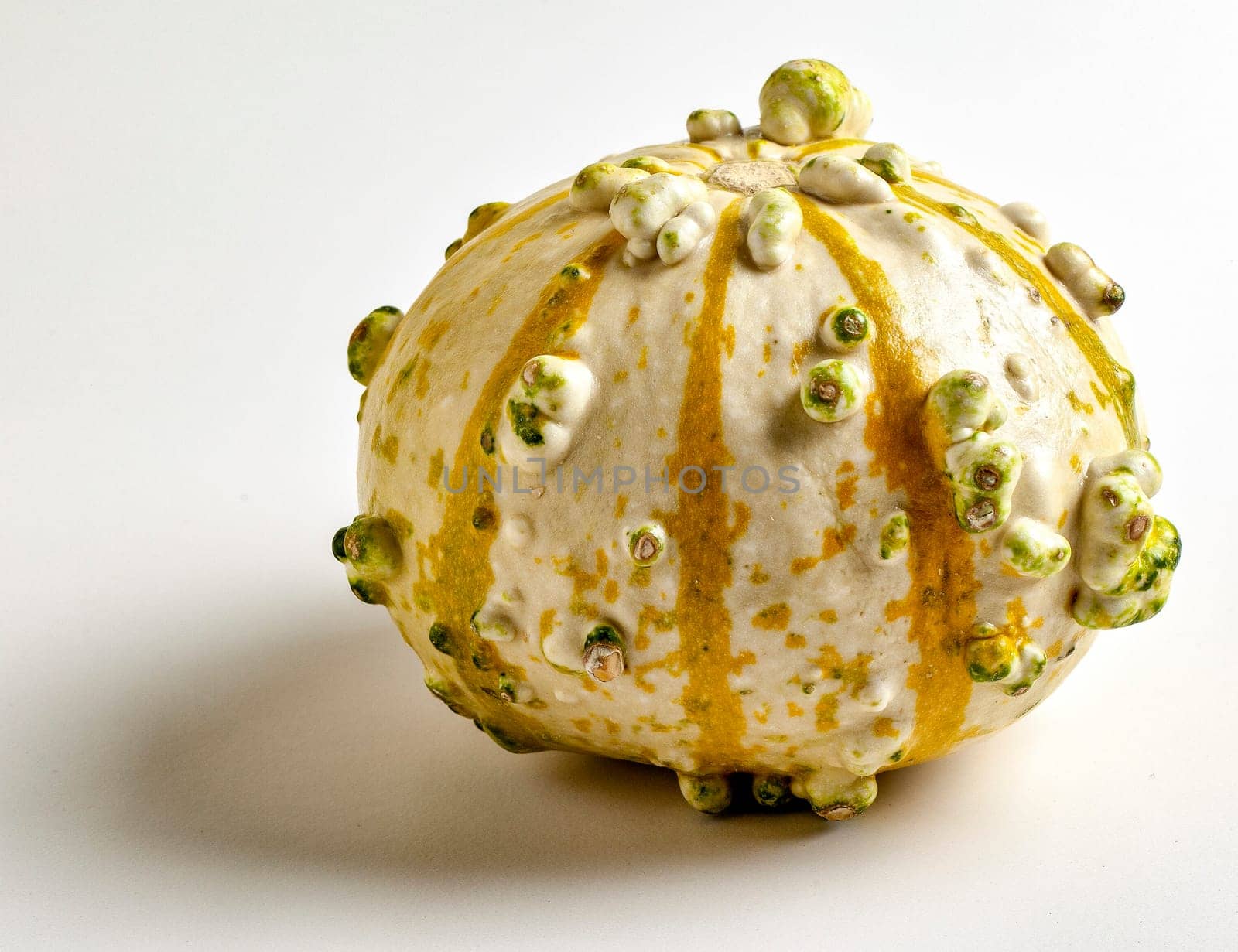 One Decorative Gourd on a White Background