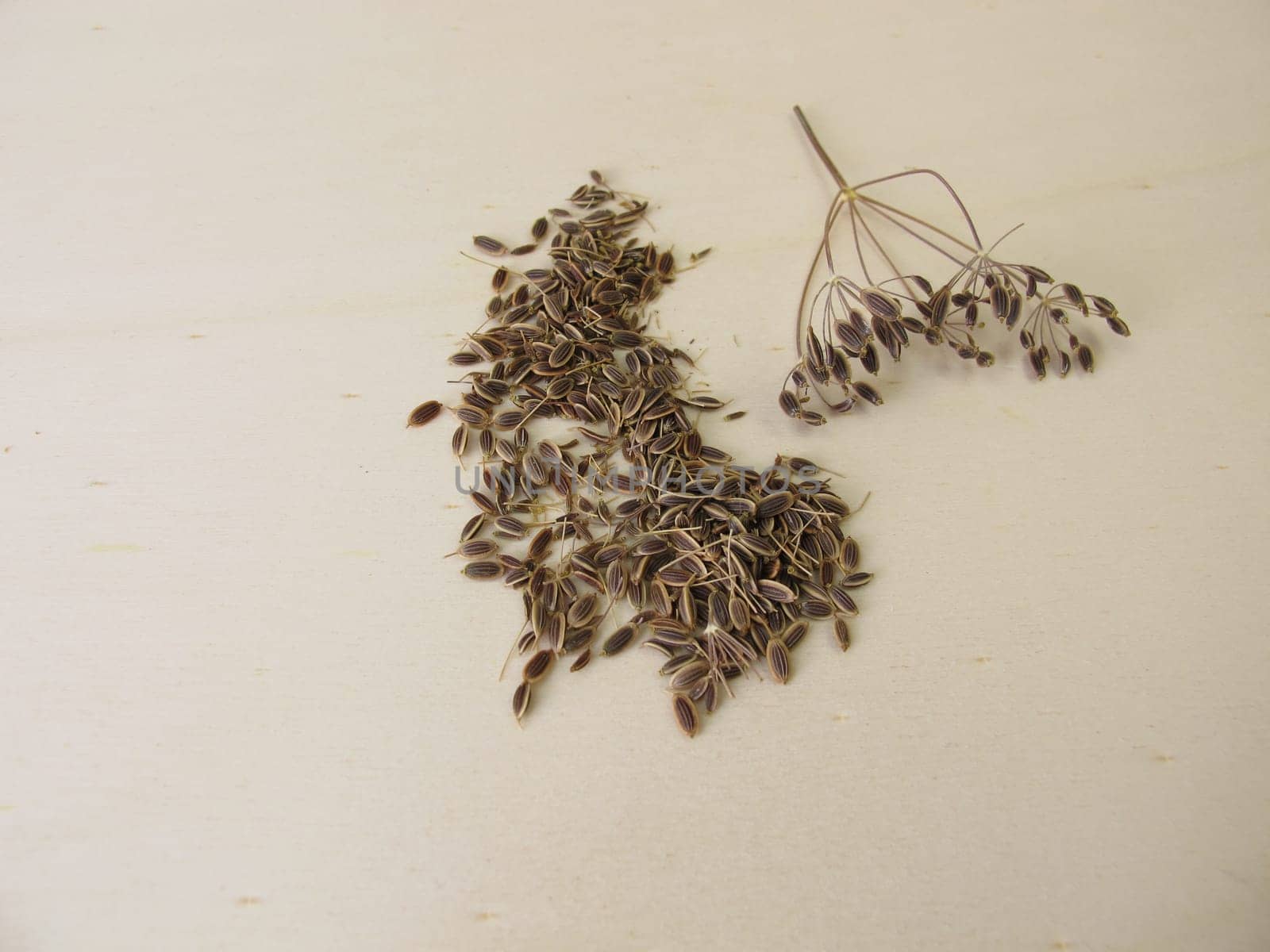 Dried dill seeds on a wooden board