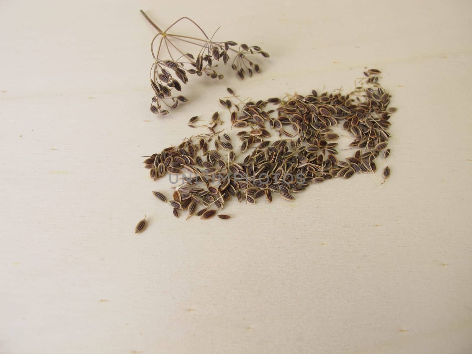 Dried dill seeds on a wooden board