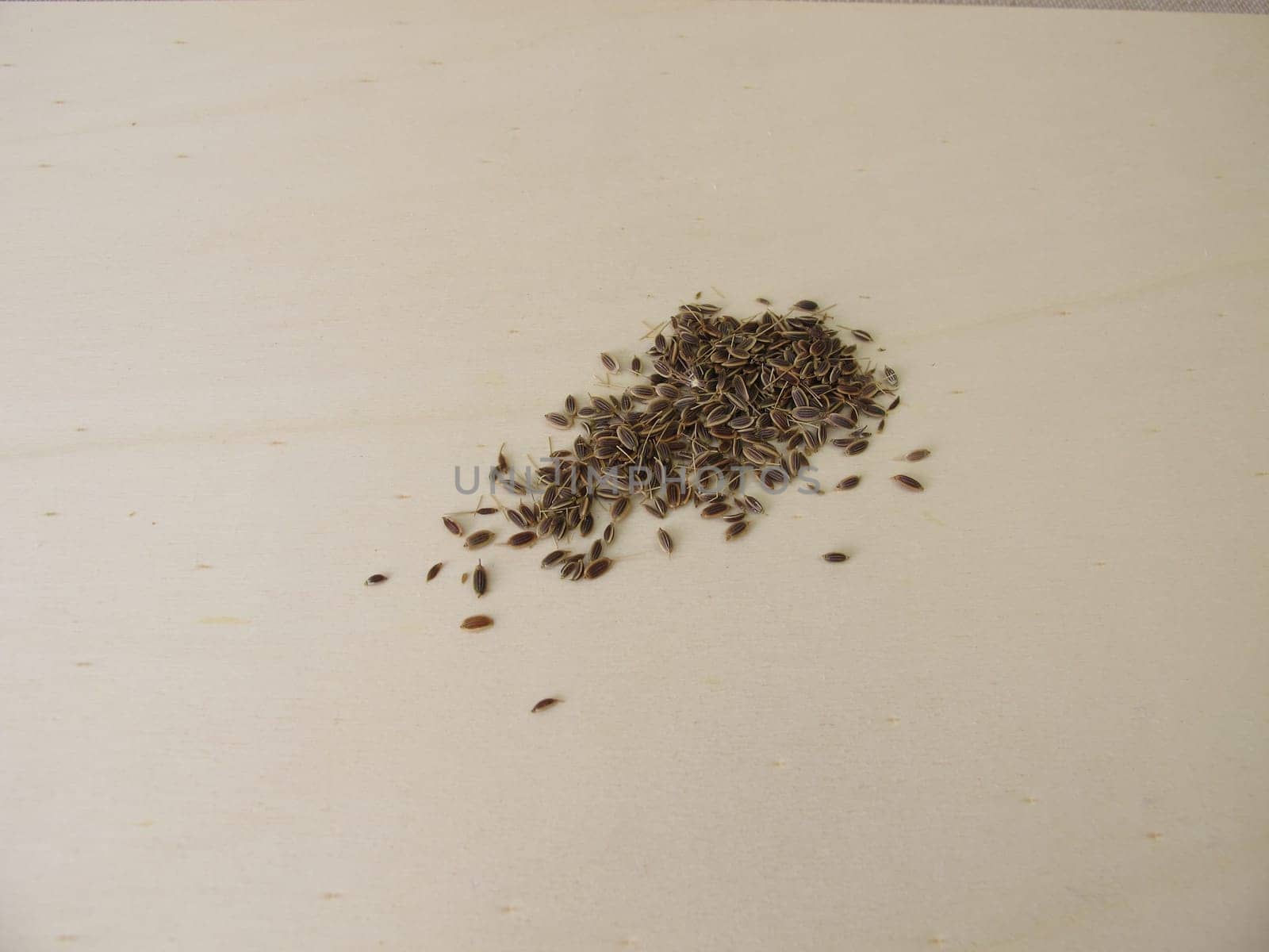 Dried dill seeds on a wooden board