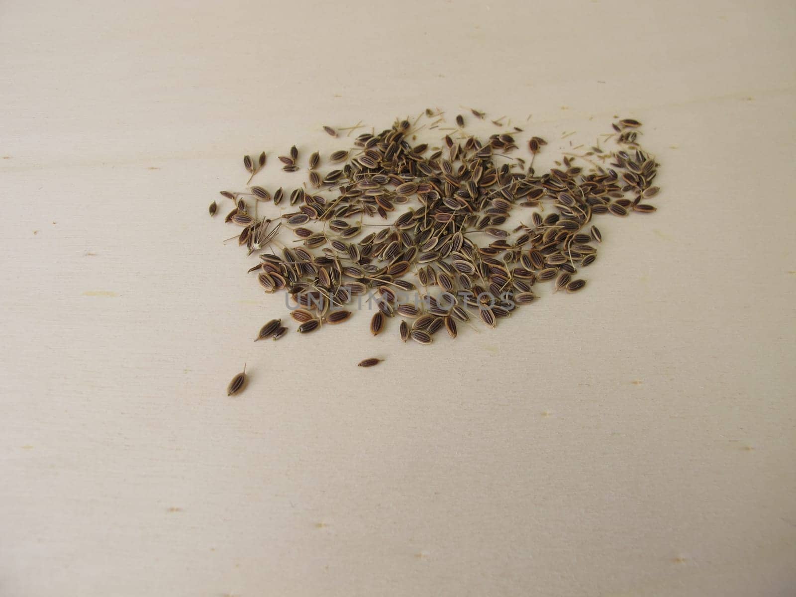Dried dill seeds on a wooden board