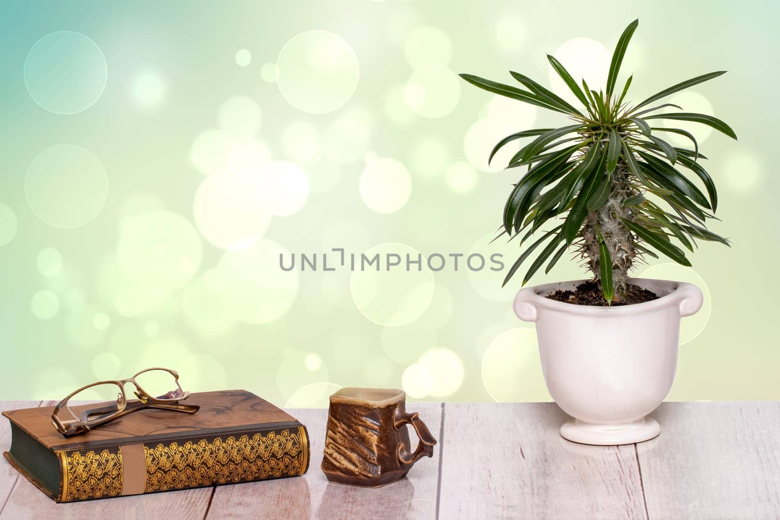 Books backgrounds. Closeup of an antique book with reading glasses on it, a brown clay mug and a cactus plant on a pink desk in front of abstract blurred light green background. Teachers day and back to school concept. Space.