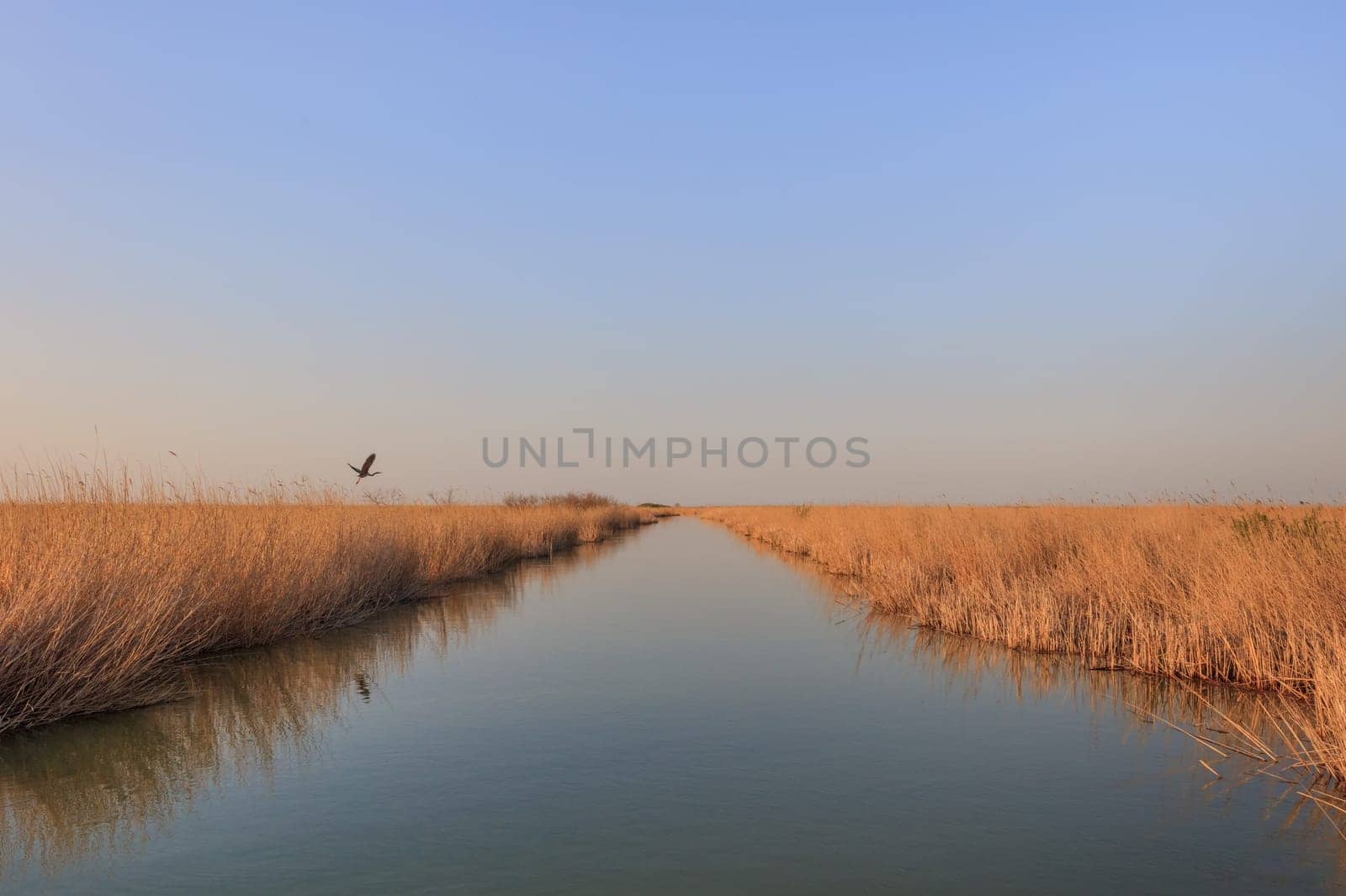 landscape in the Danube Delta, Romania, Europe