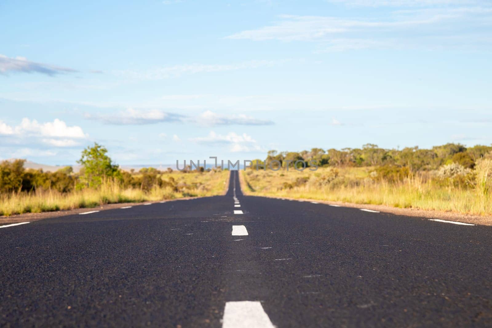 The straight asphalt road with meadows on both sides