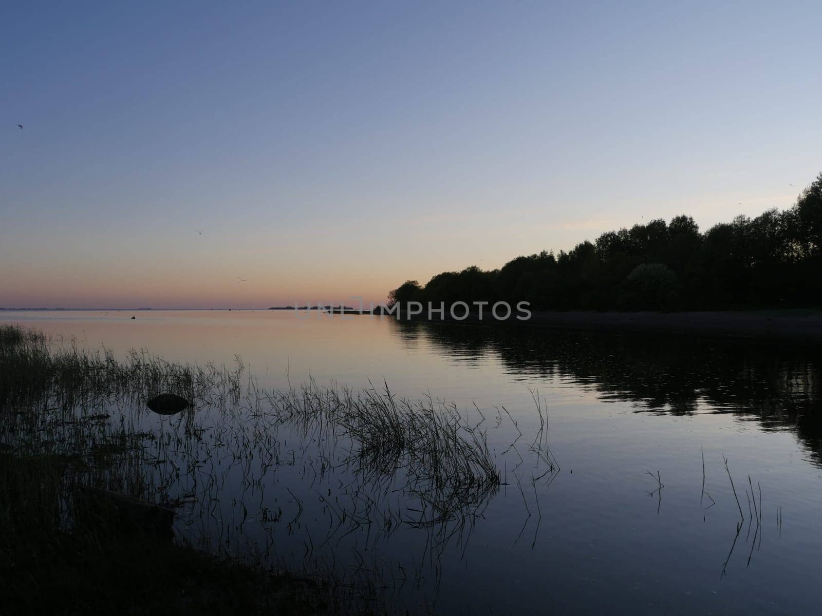 evening red sunset on a picturesque lake