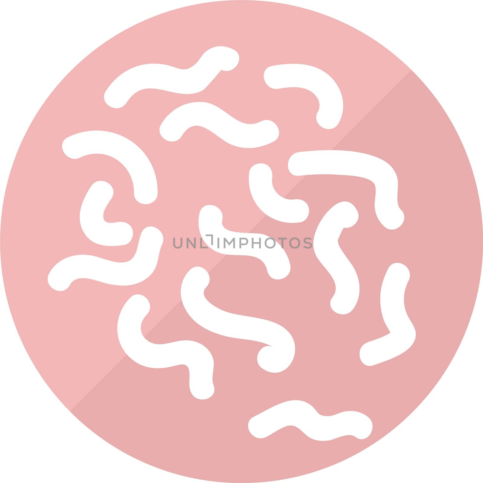 Lampylobacter bad gutbacteria vector icon