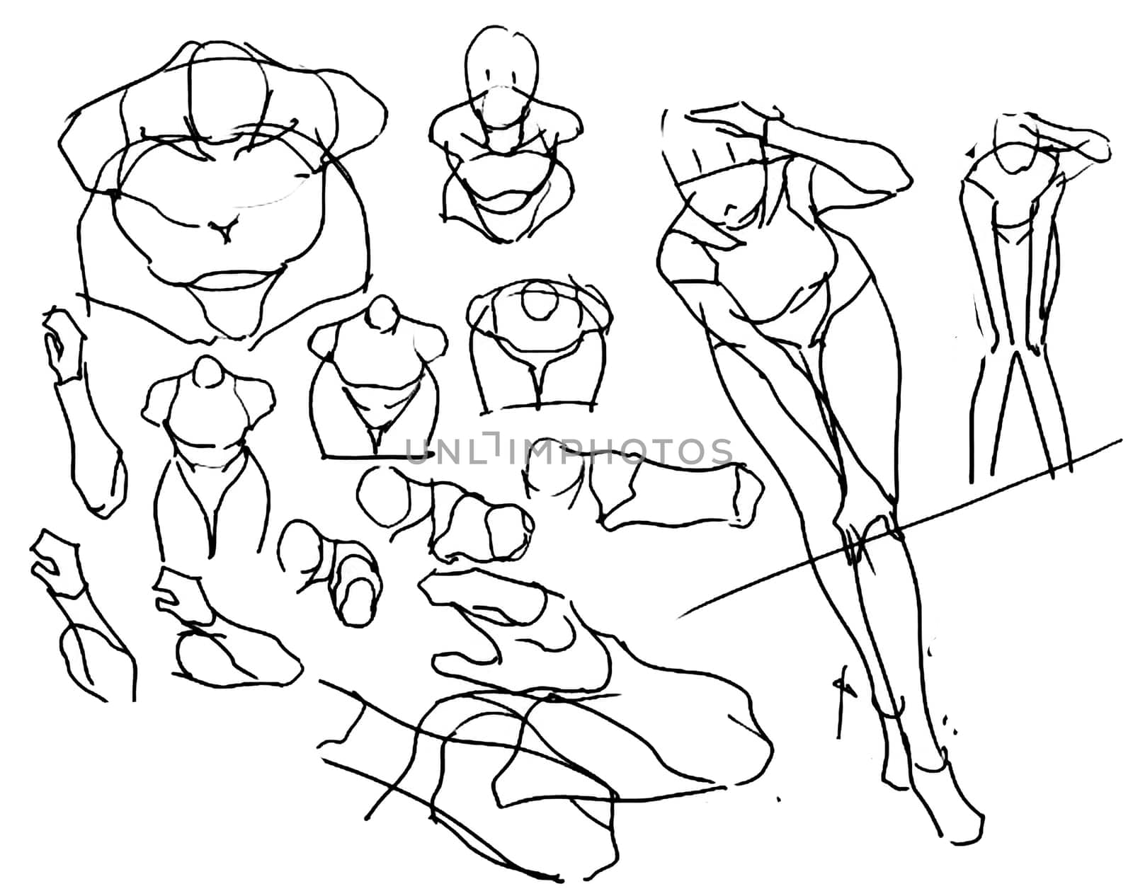 Tutorial of drawing a female body. Drawing the human body, step by step lessons.
