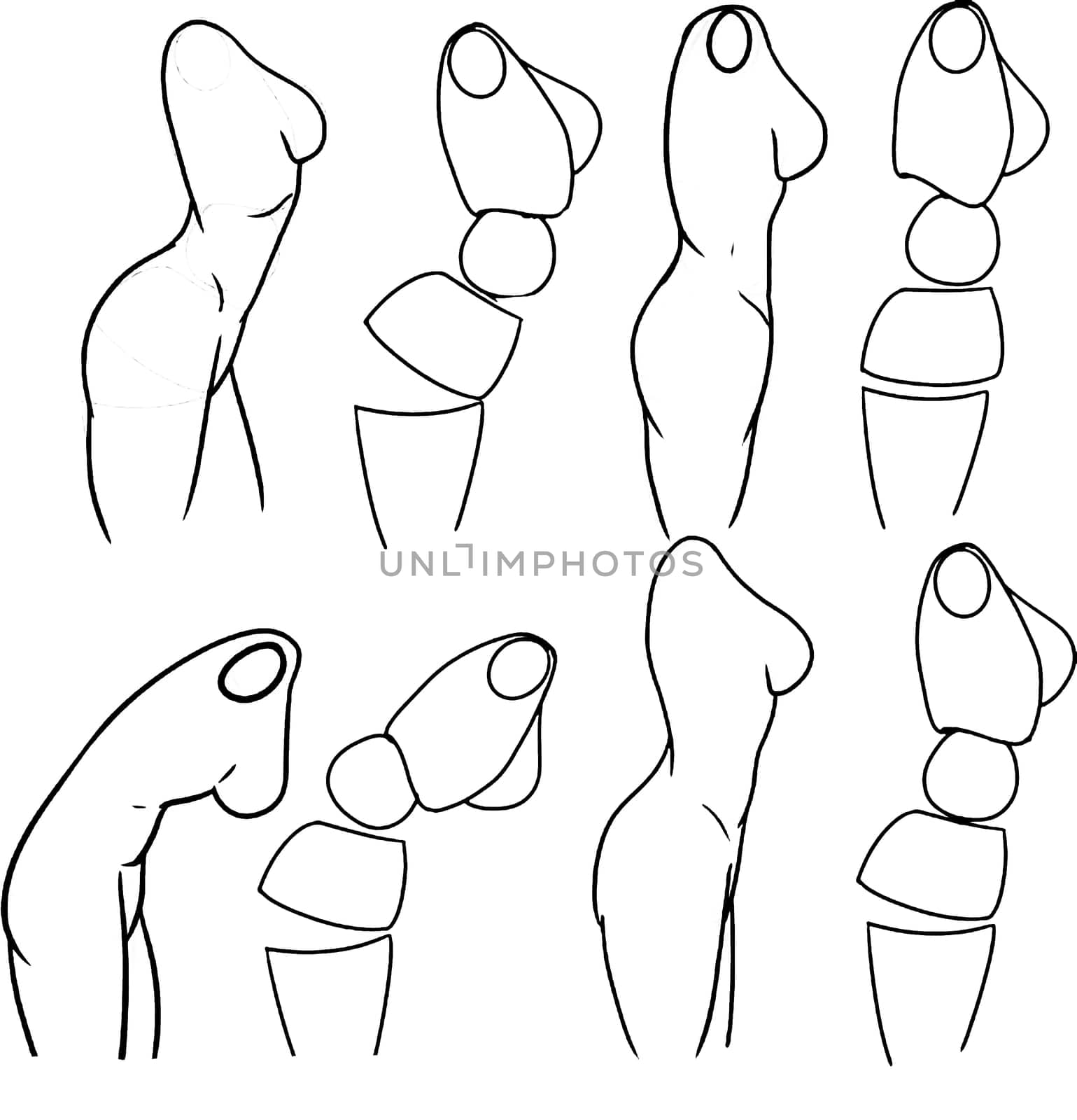 Tutorial of drawing a female body. Drawing the human body, step by step lessons.