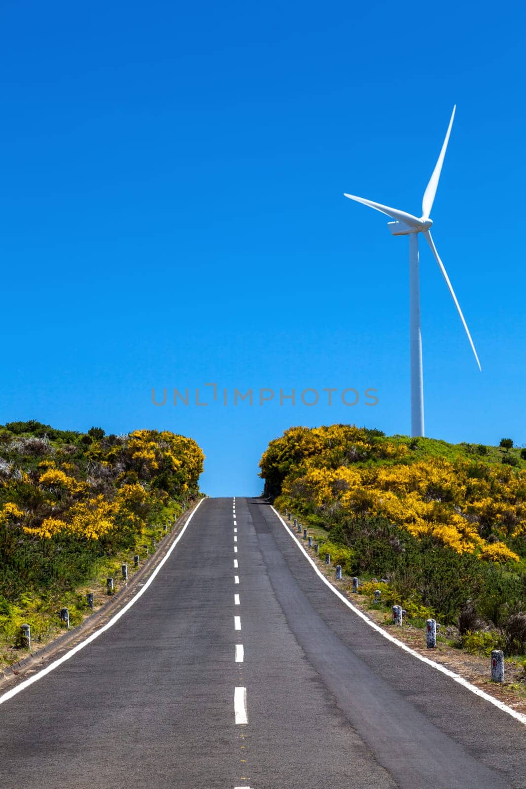 Madeira island. way to the blue sky with a wind turbine. holiday.