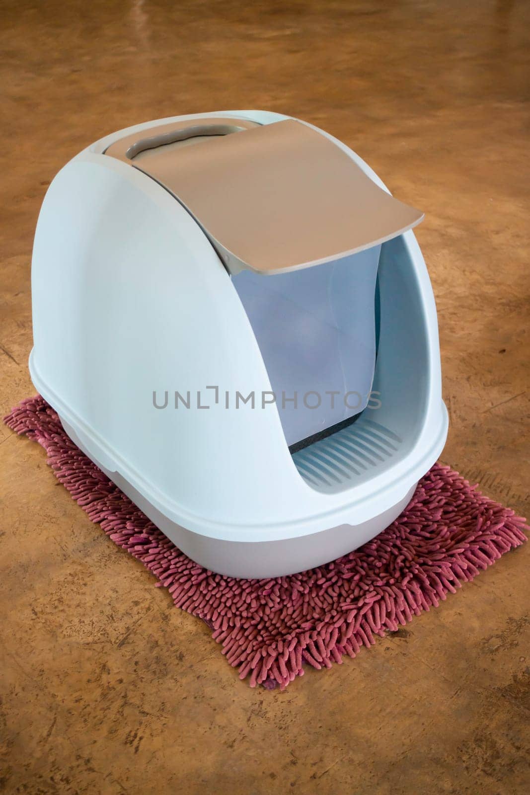 Cleaning cat litter box place, stock photo