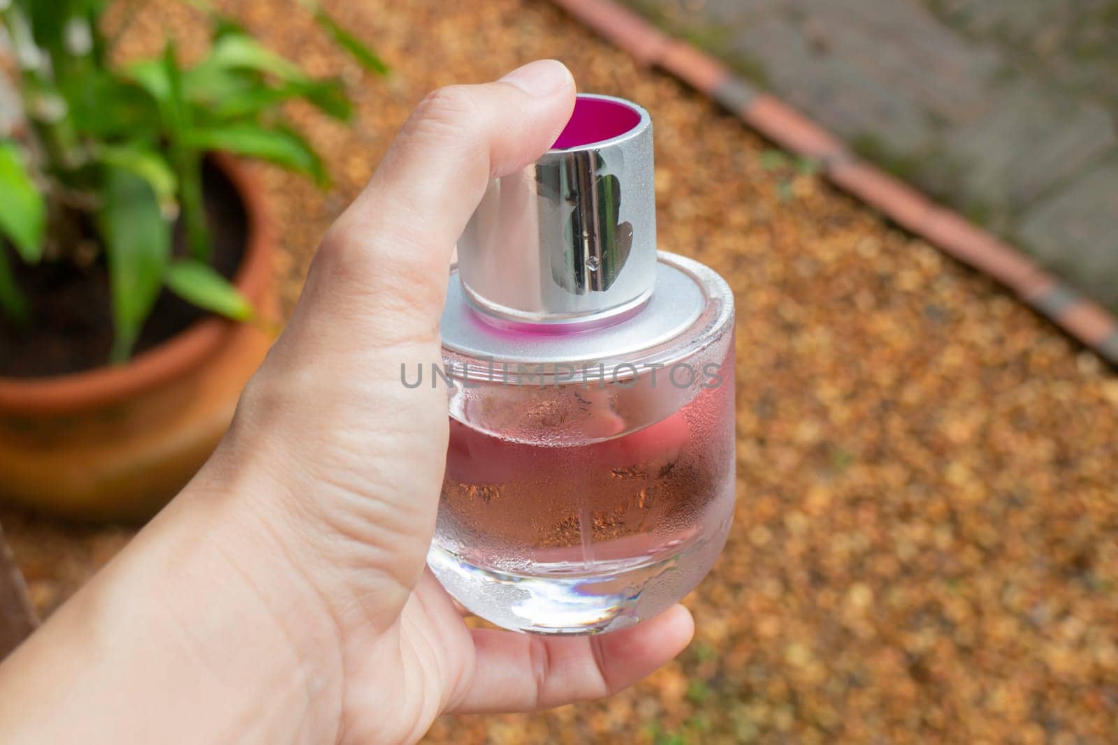 Woman hand show and hold perfume bottle, stock photo