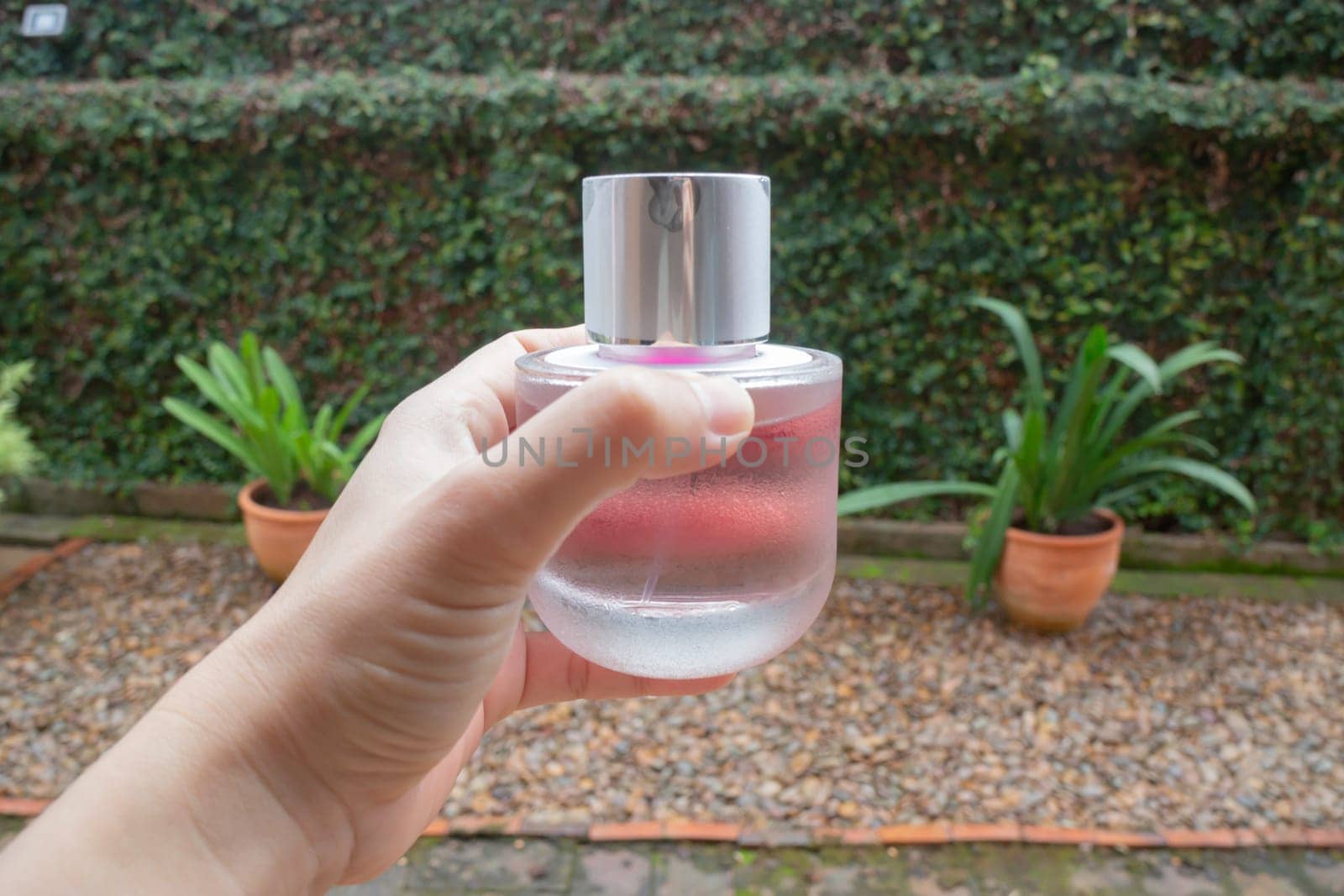 Woman hand show and hold perfume bottle, stock photo