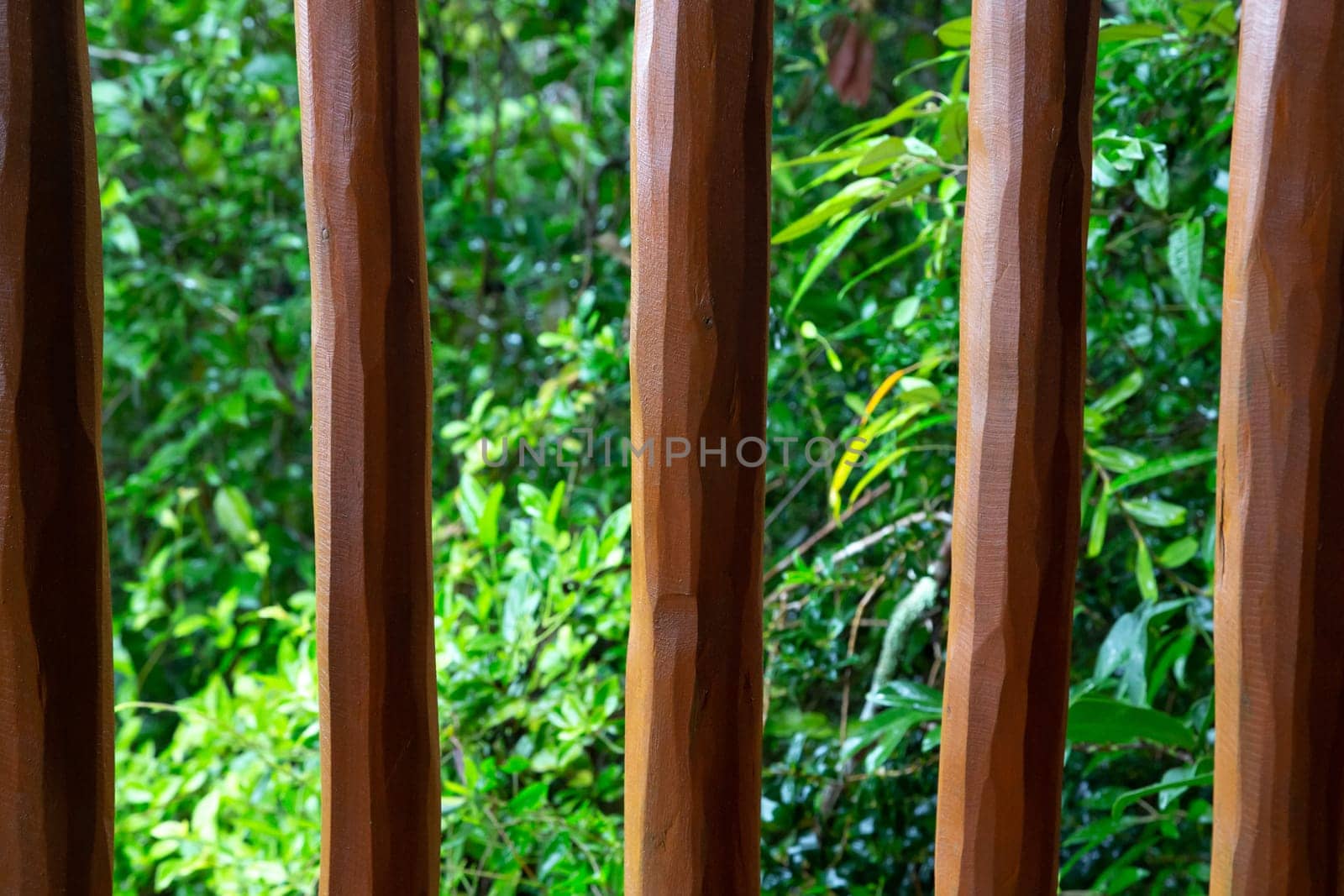 A Background from a wooden mesh or wood