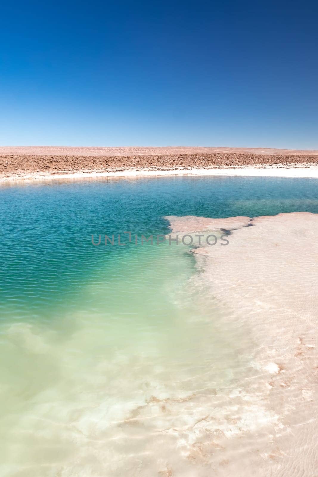 Hidden lagoon Baltinache (Lagunas escondidas Baltinache) Atacama Desert, Chile. South America.