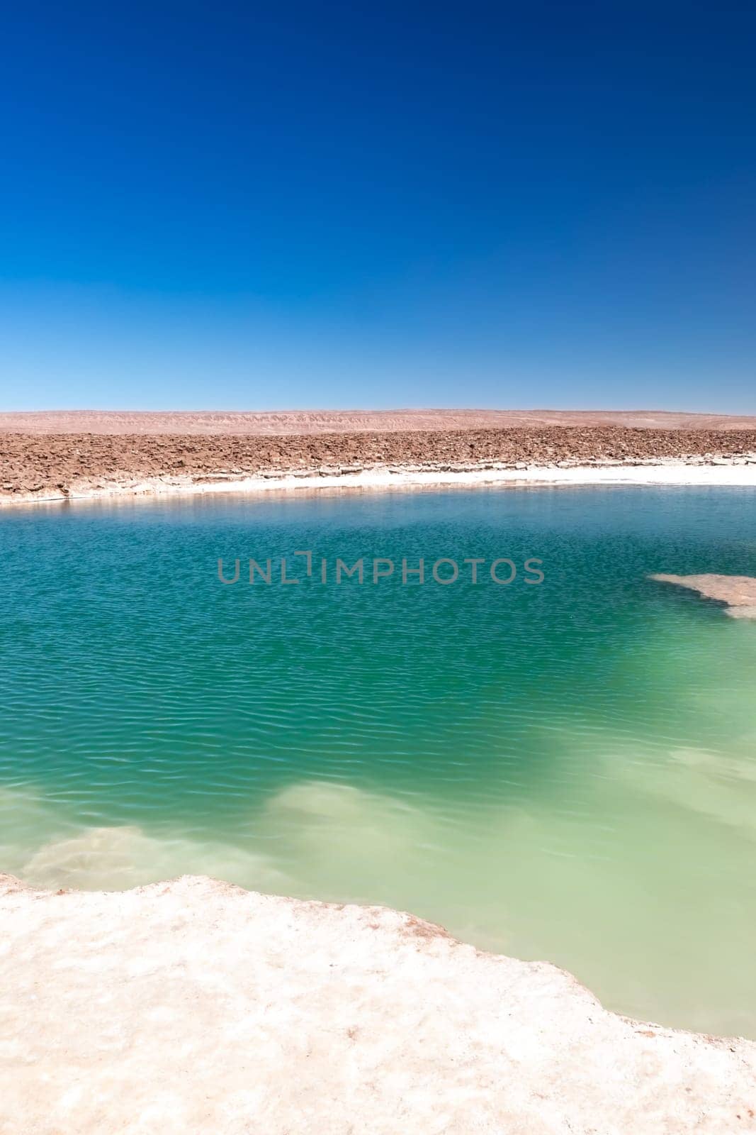 Hidden lagoon Baltinache (Lagunas escondidas Baltinache) Atacama Desert, Chile. South America.