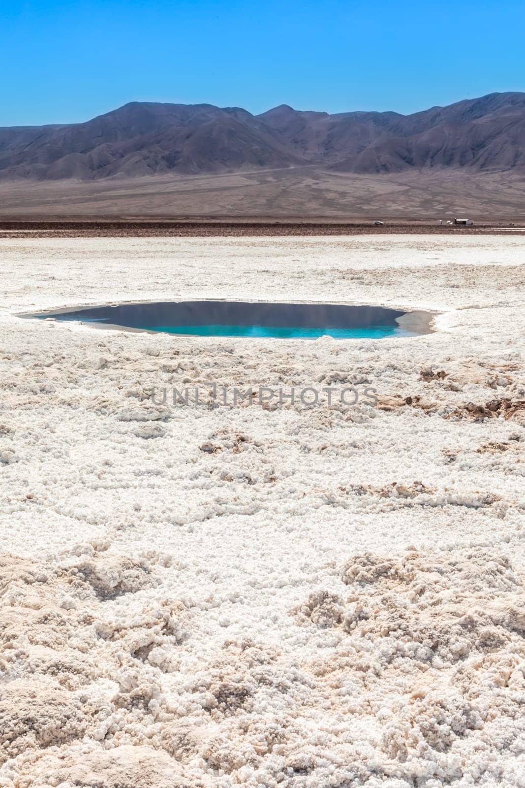 Hidden lagoon Baltinache (Lagunas escondidas Baltinache) Atacama Desert, Chile. South America.