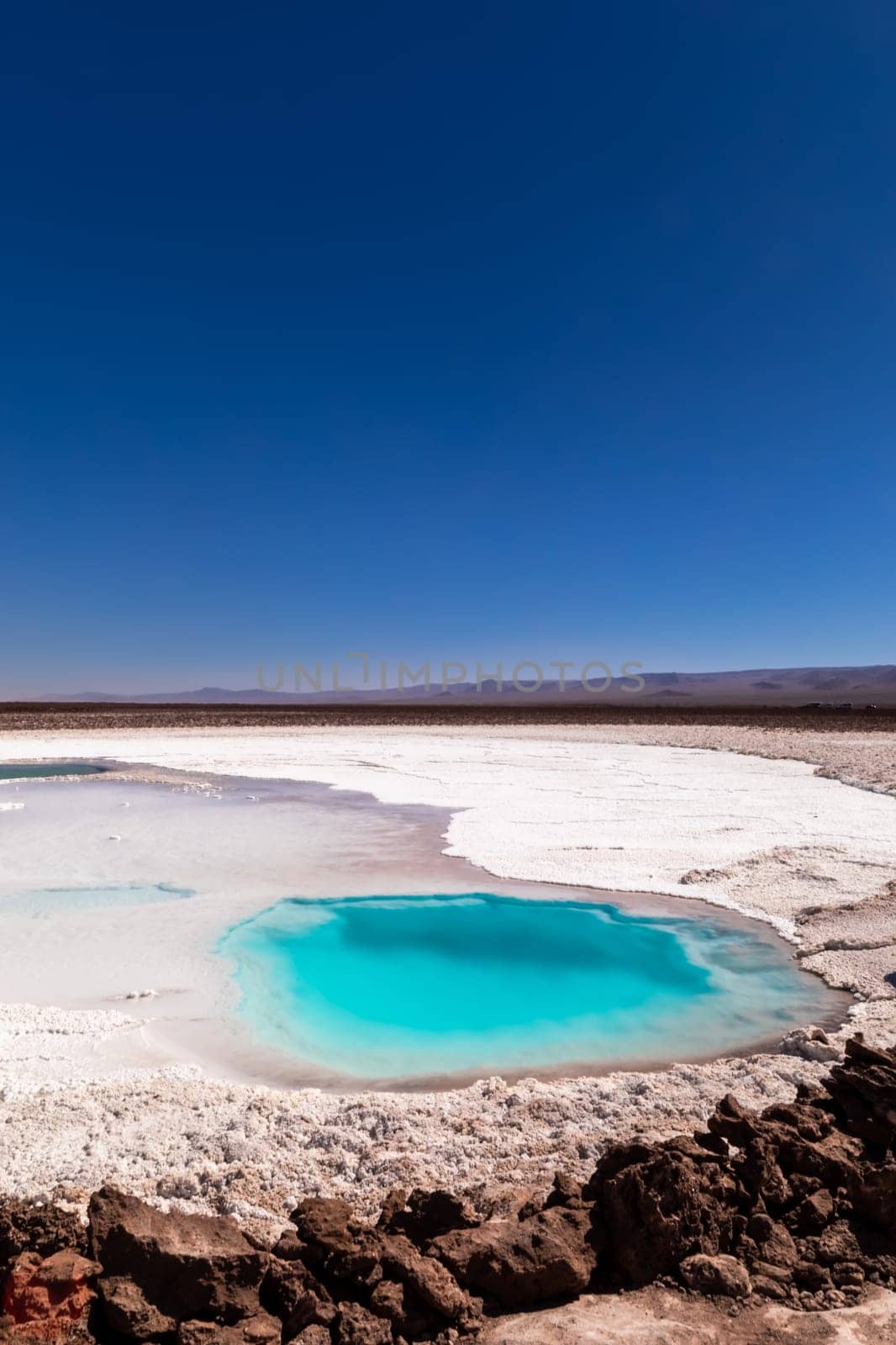 Hidden lagoon Baltinache (Lagunas escondidas Baltinache) Atacama Desert, Chile. South America.