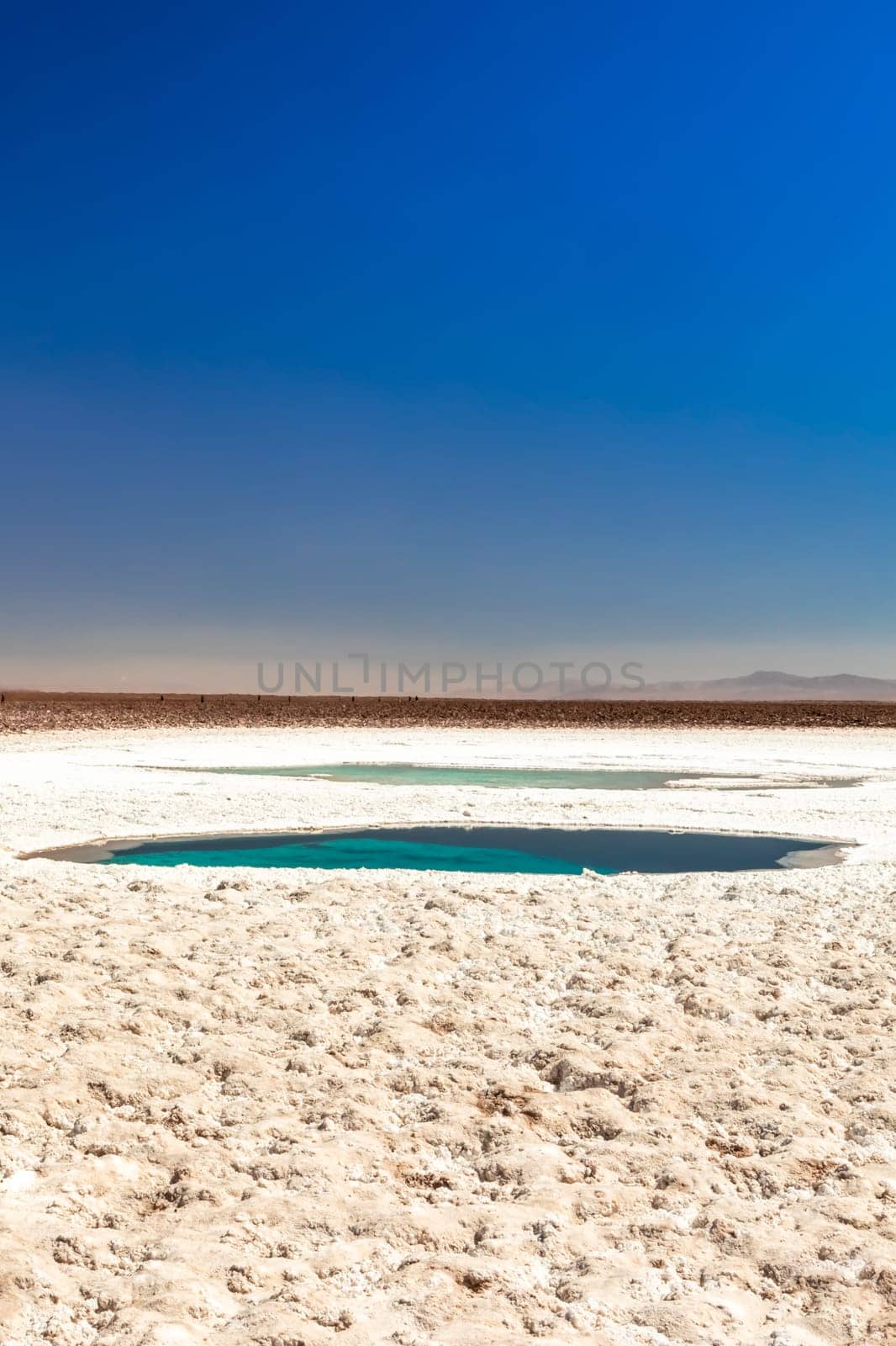 Hidden lagoon Baltinache (Lagunas escondidas Baltinache) Atacama Desert, Chile. South America.