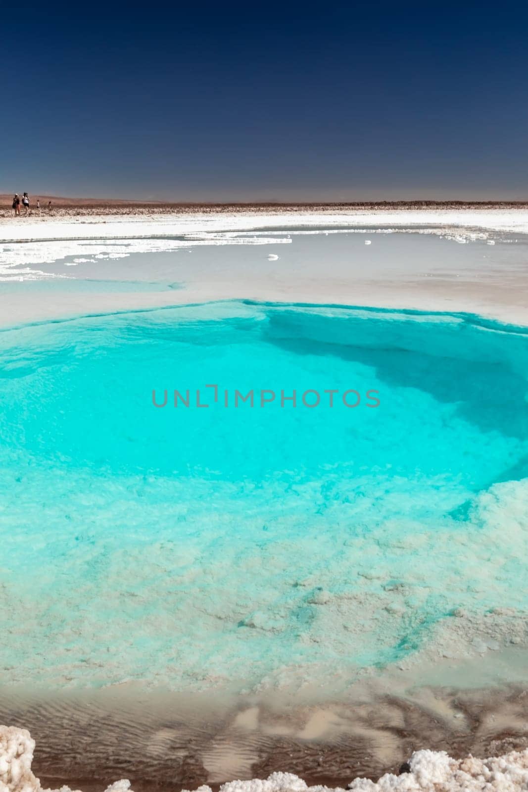 Hidden lagoon Baltinache (Lagunas escondidas Baltinache) Atacama Desert, Chile. South America.