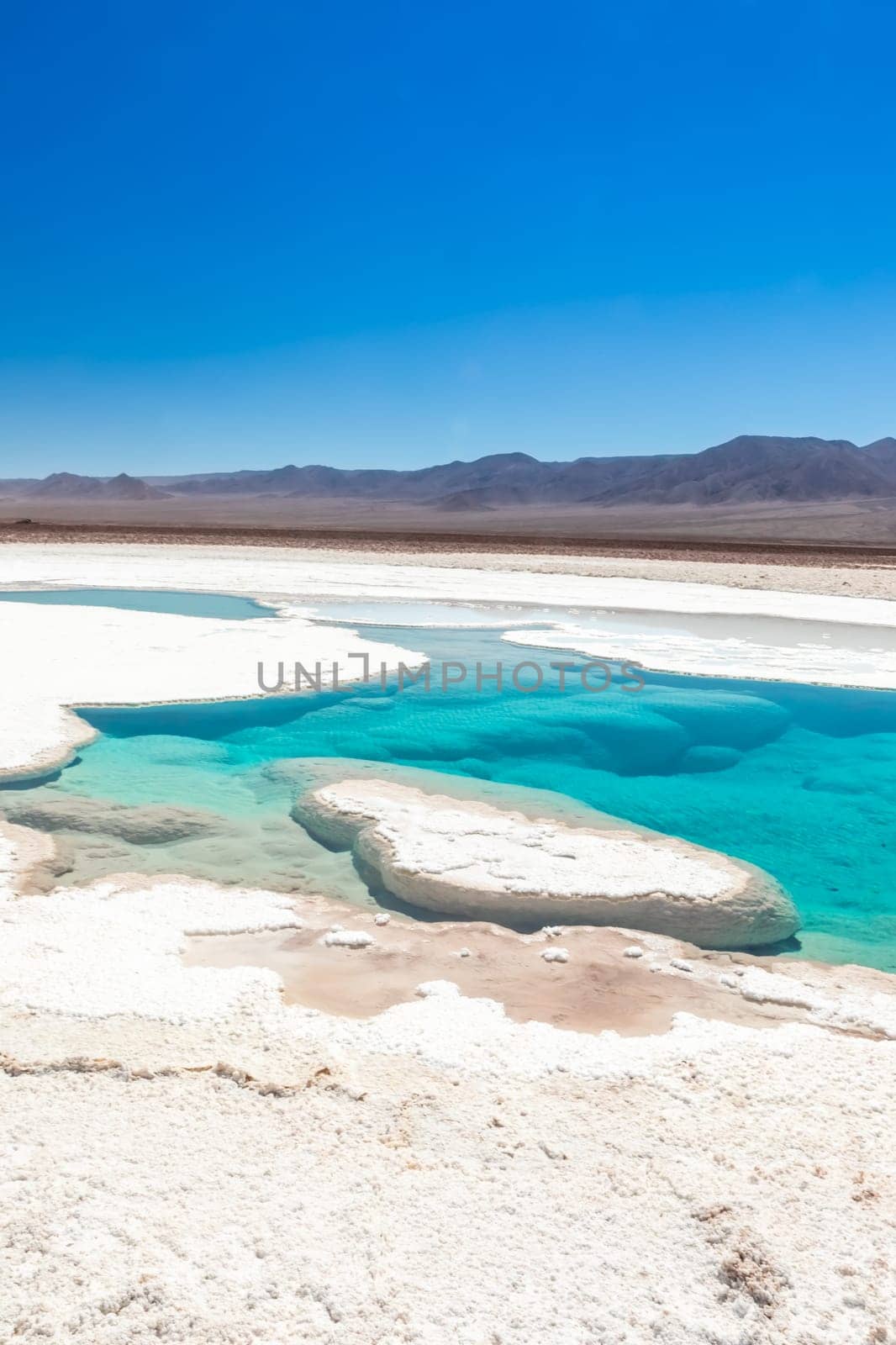 Hidden lagoon Baltinache (Lagunas escondidas Baltinache) Atacama Desert, Chile. South America.