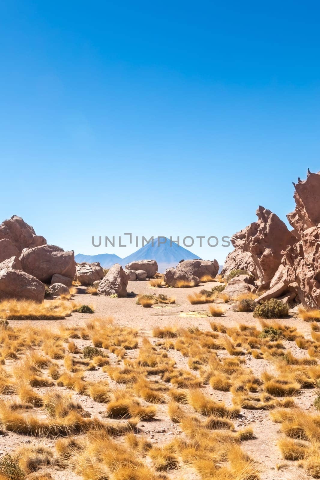 Scenic road in the Atacama desert, Chile. South America.
