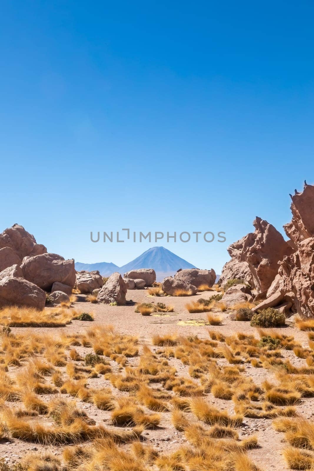 Scenic road in the Atacama desert, Chile. South America.