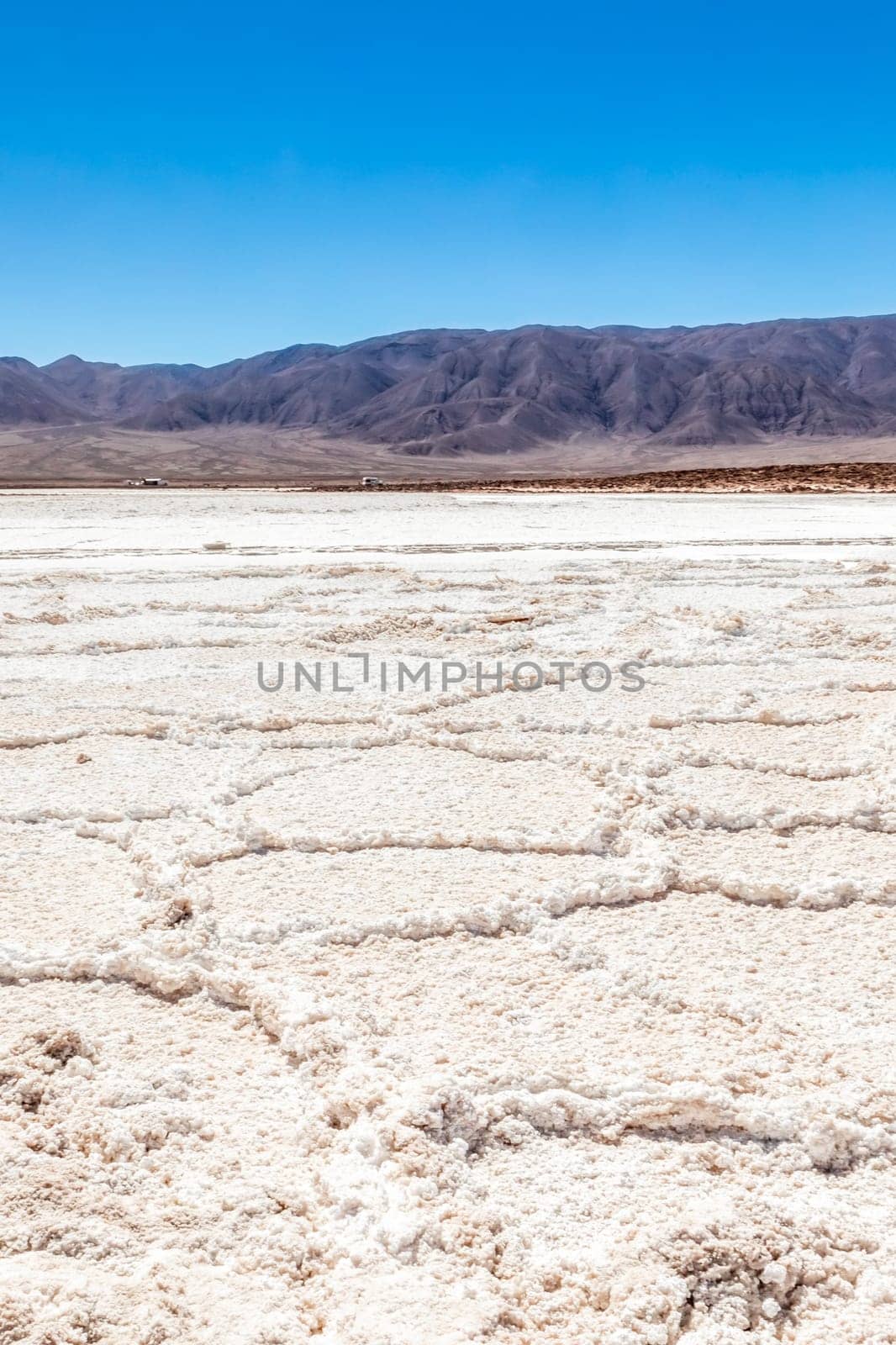Hidden lagoon Baltinache (Lagunas escondidas Baltinache) Atacama Desert, Chile. South America.