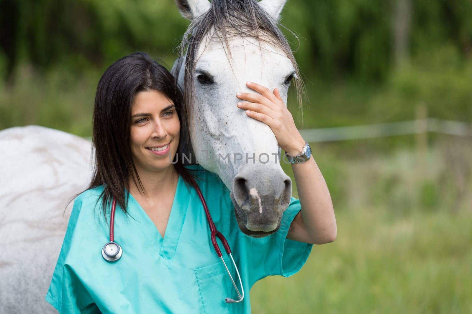 Veterinary great performing a scan to a young mare