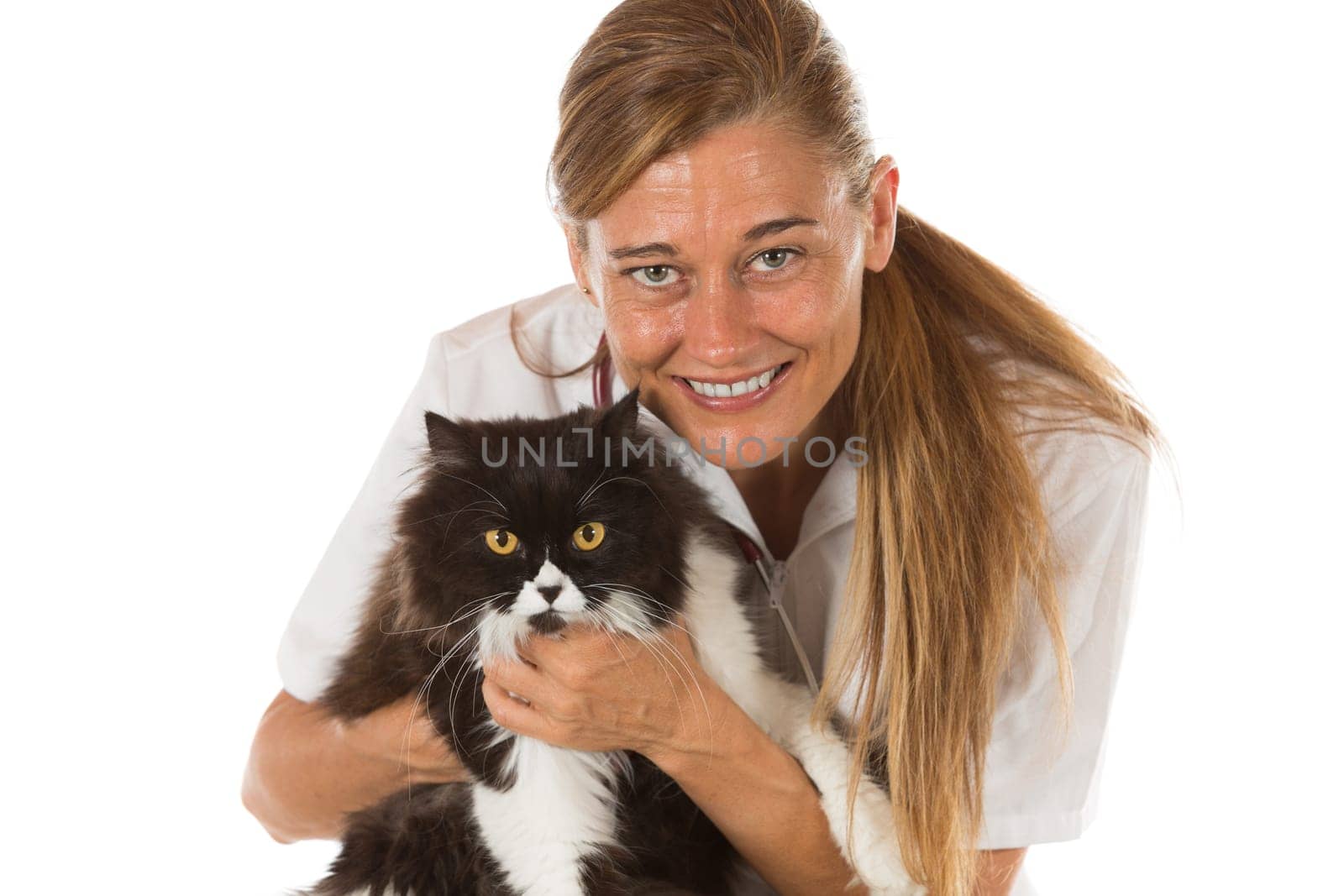 Veterinary hugging a cat and reassuring for review