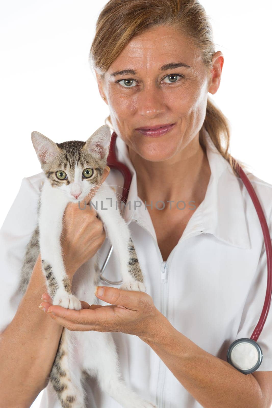 Veterinary hugging a cat and reassuring for review