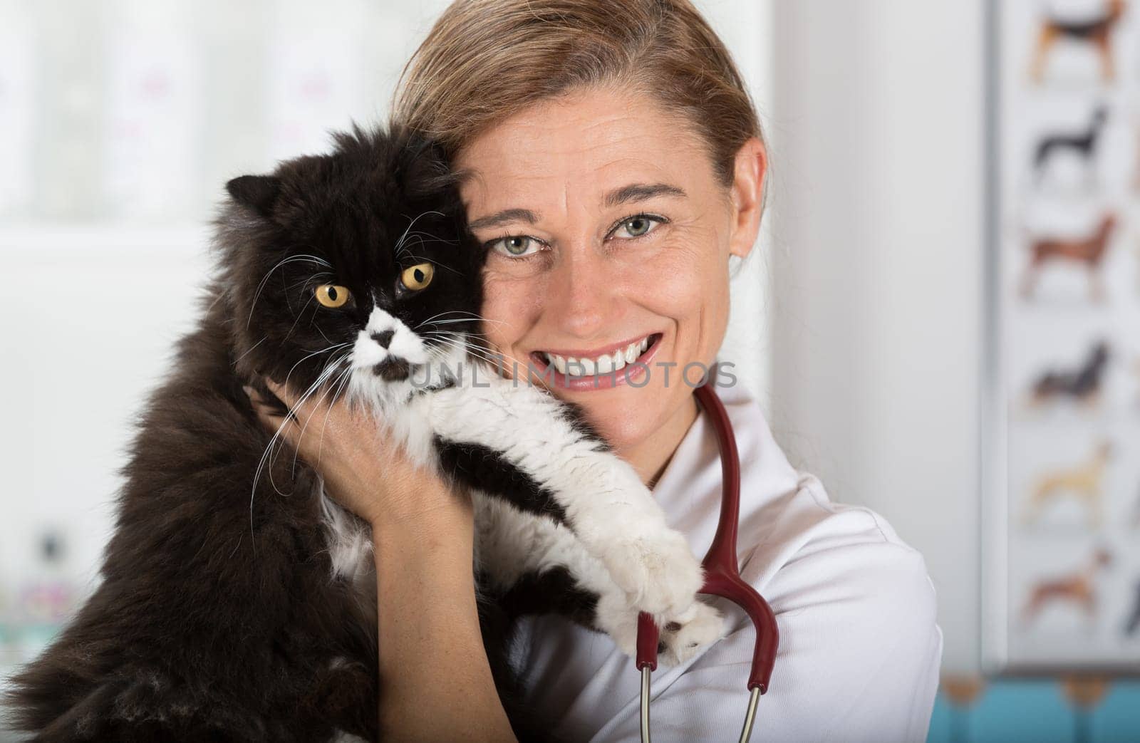 Veterinary hugging a cat and reassuring for review