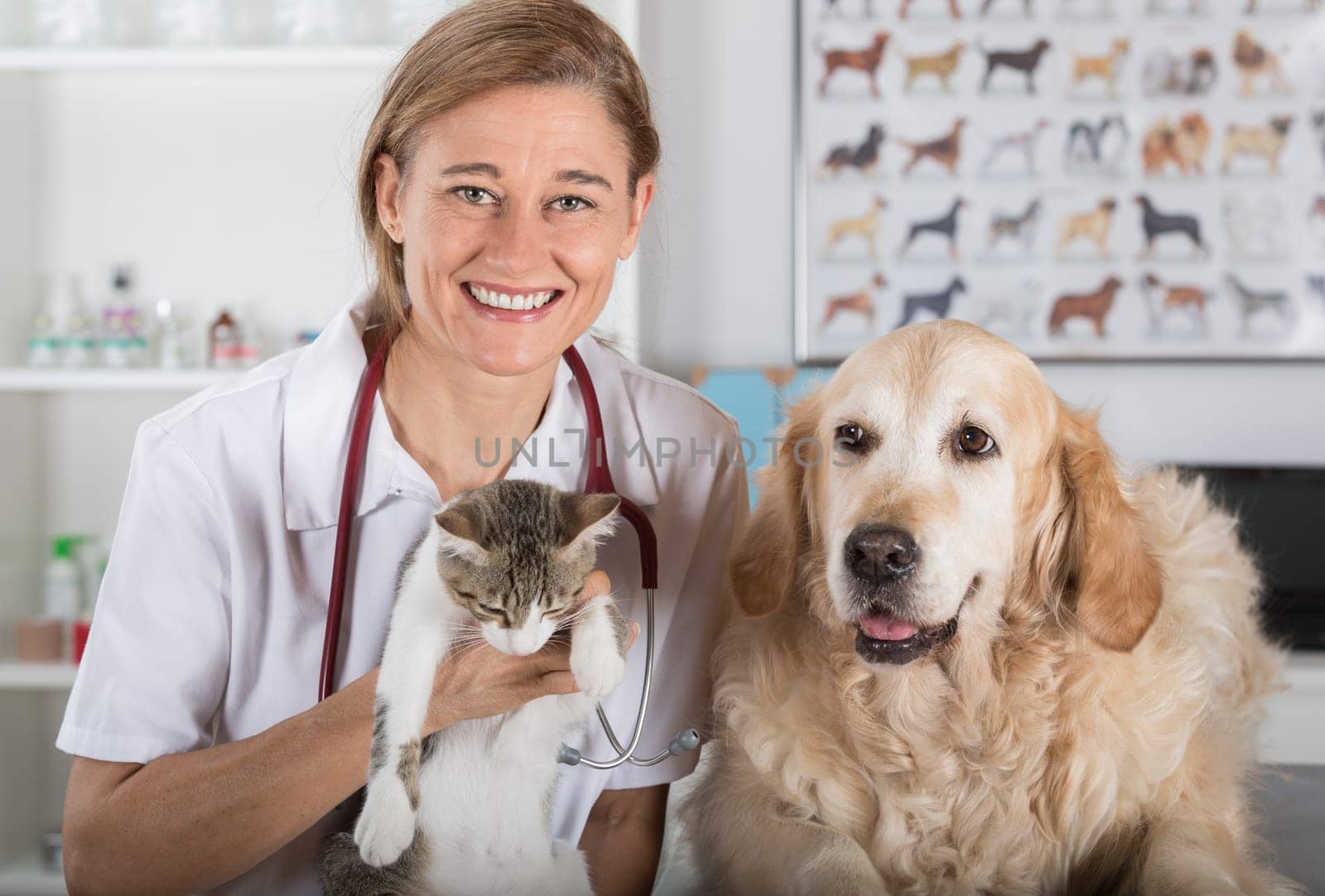Veterinary consultation with his Golden Retriever dog and cat