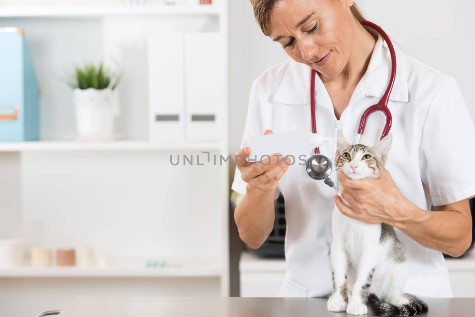 Veterinarian performing cleaning hearing a cat in clinic