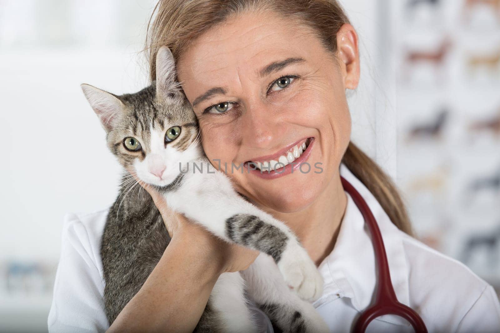 Veterinary hugging a cat and reassuring for review